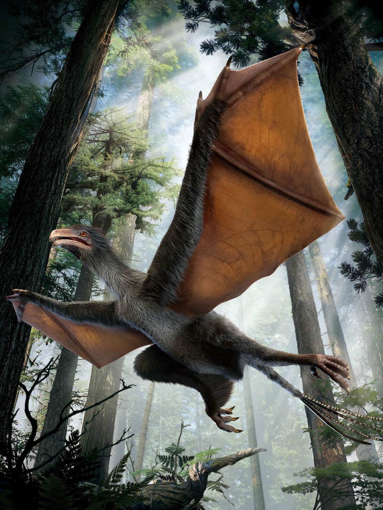 Why Pterosaurs Were the Weirdest Wonders on Wings