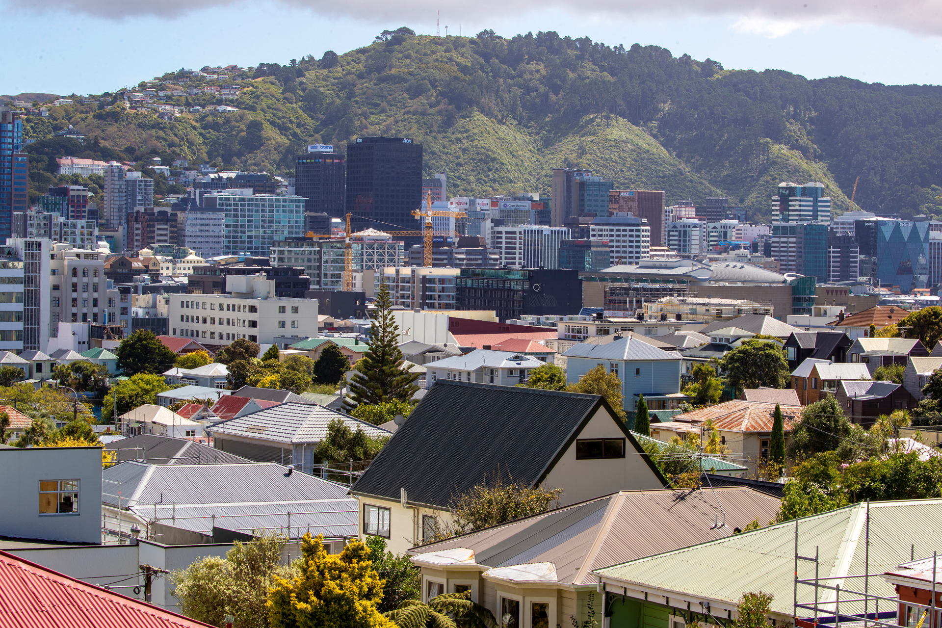 Wellington’s population at last count was 209,800, with the new forecast estimating growth of only 0.3% annually to 228,900 by 2048. Photo / Mark Mitchell