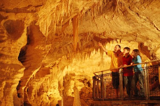 The fabulous Waitomo caves. Photo / Supplied