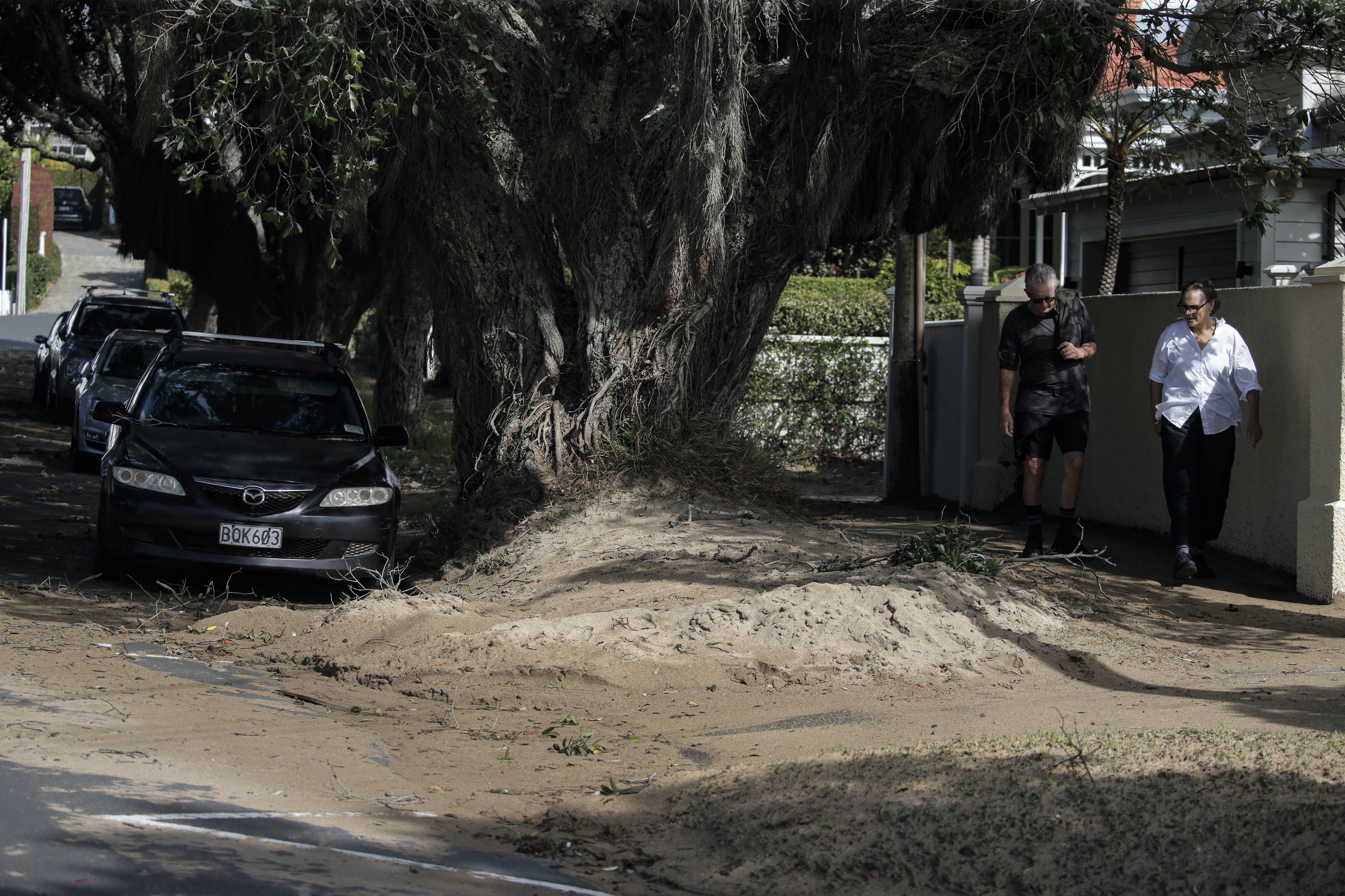 Debris at Cheltenham beach after strong winds and changeable weather on Auckland's North Shore. Photo / Alex Burton
