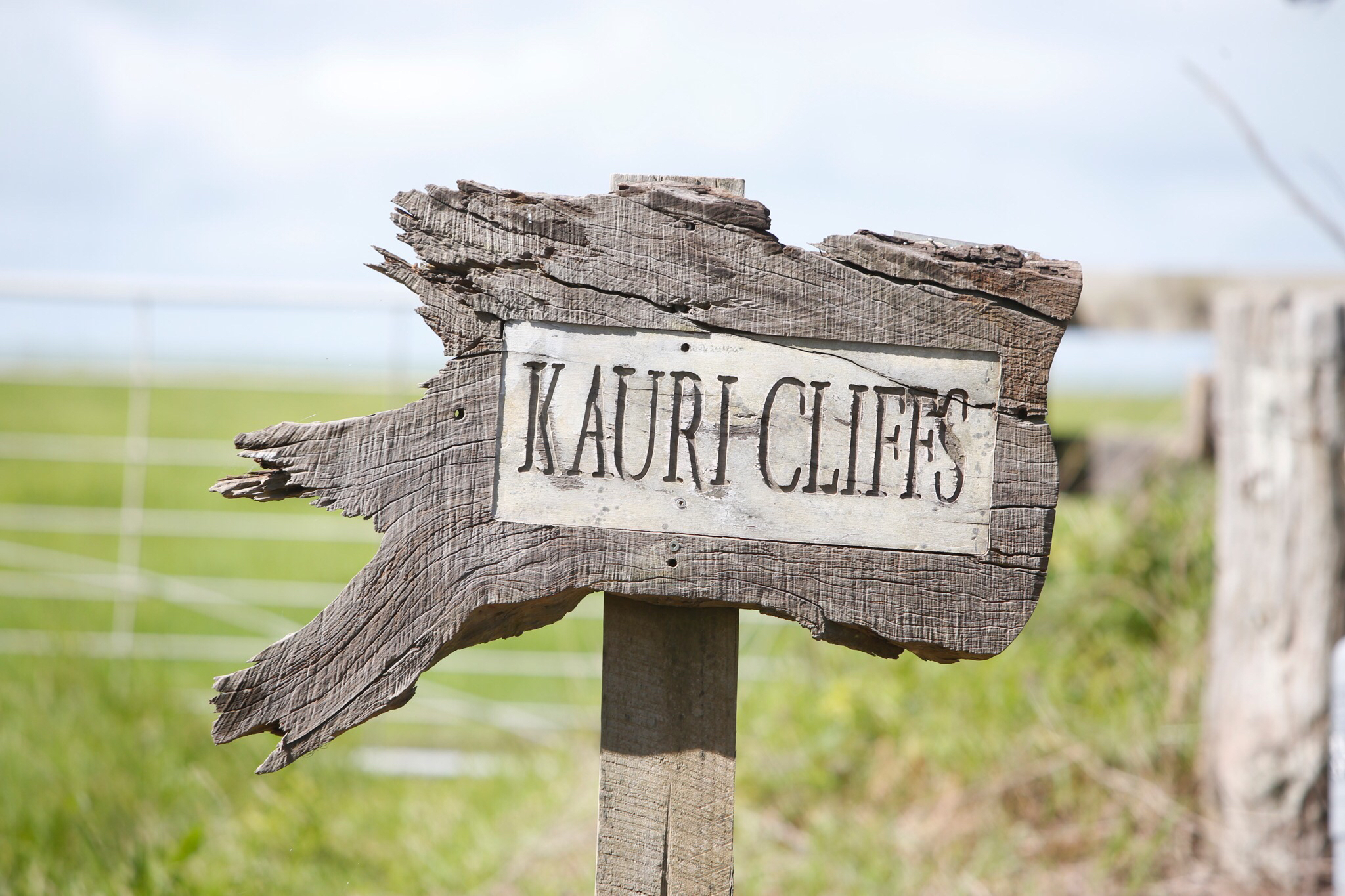 The golf course at Kauri Cliffs is renowned. Photo / Michael Cunningham