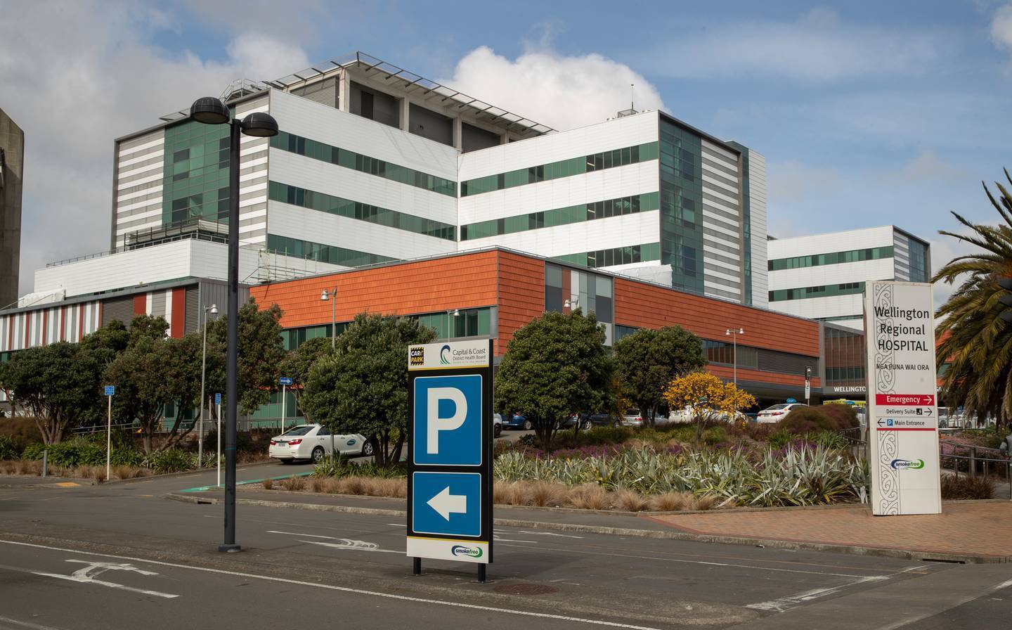 Wellington Hospital recently U-turned on a move to stop offering toast to mums after birth. Photo / Mark Mitchell