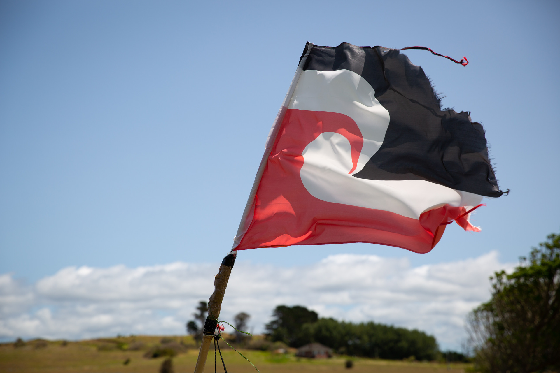 Experts want to see the conversation shift from settling historical Treaty of Waitangi claims to constitutional transformation. Photo / Sylvie Whinray