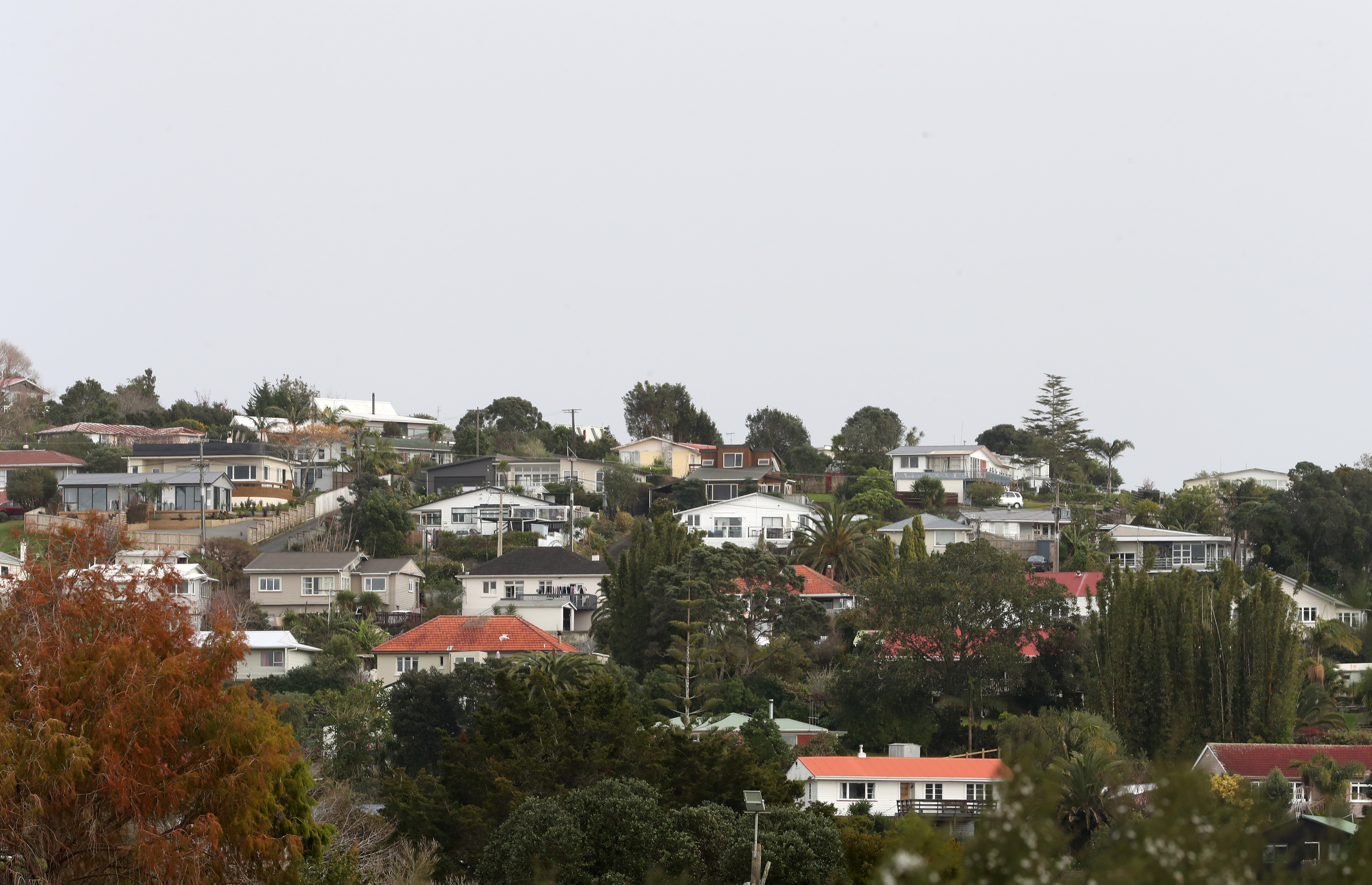Northland ratepayers will fork out more than $300 million in rates across the region this financial year. Photo / Michael Cunningham