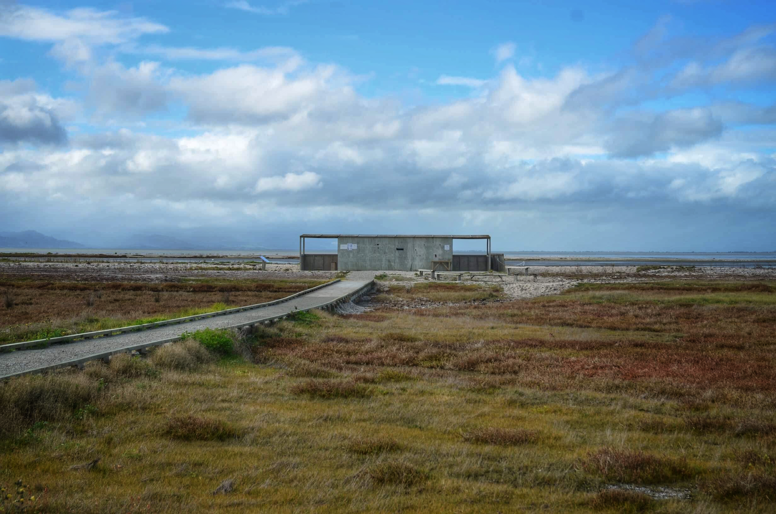 Kaiaua to Thames. Learn about the kuaka/bar-tailed godwits at the Pūkorokoro Miranda Shorebird Centre. Photo / Outdoor Kid