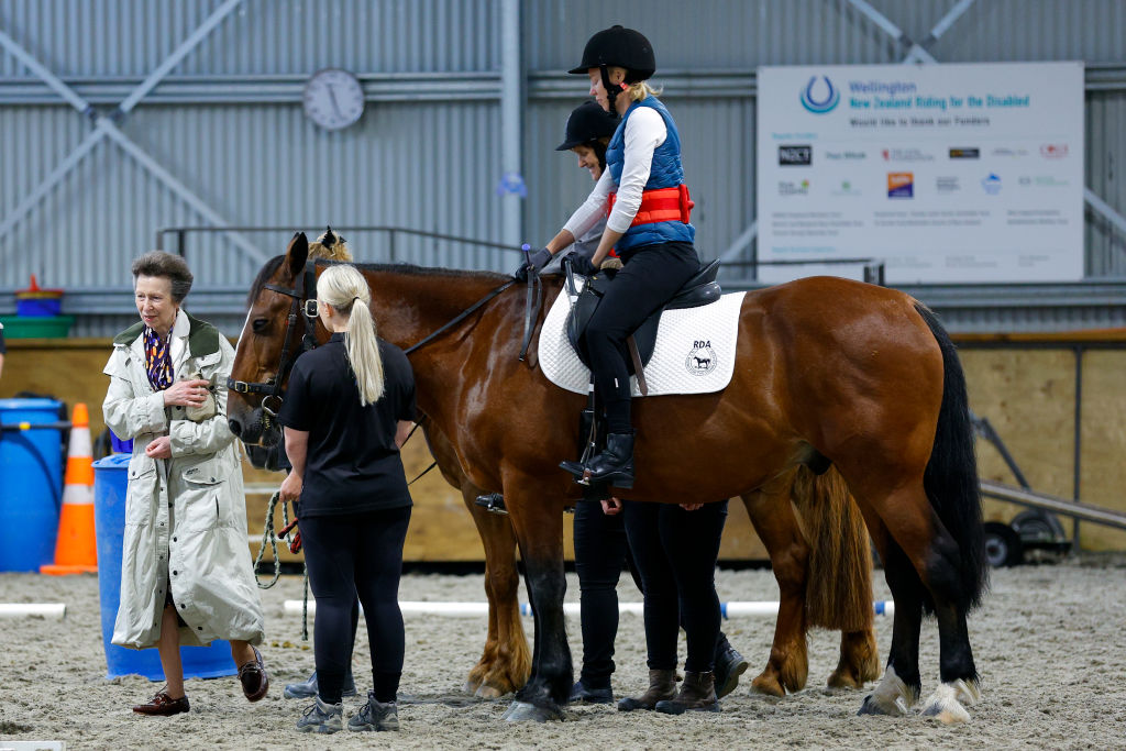 The Princess Royal is in New Zealand for a four-day visit. Photo / Getty Images