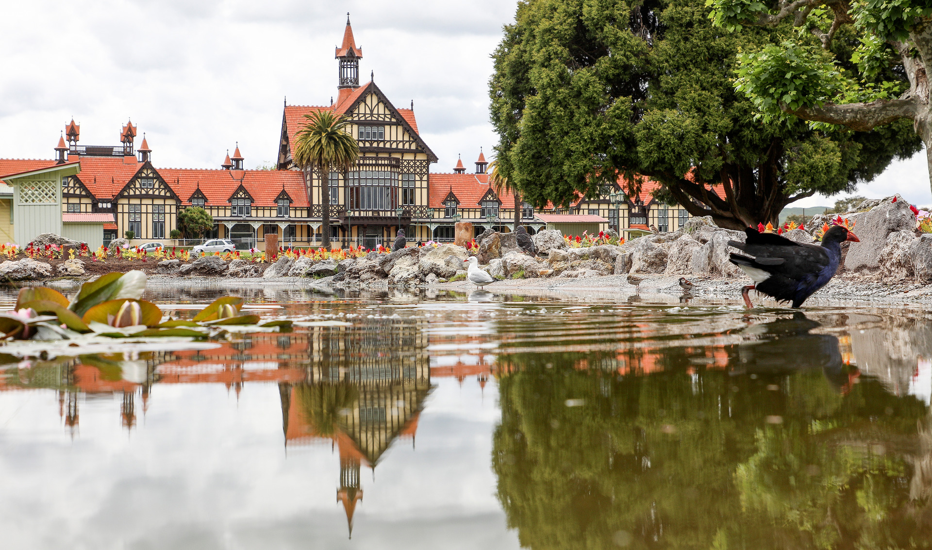 Rotorua Lakes Council says the delay in reopening Rotorua Museum comes at no extra cost. Photo / Andrew Warner