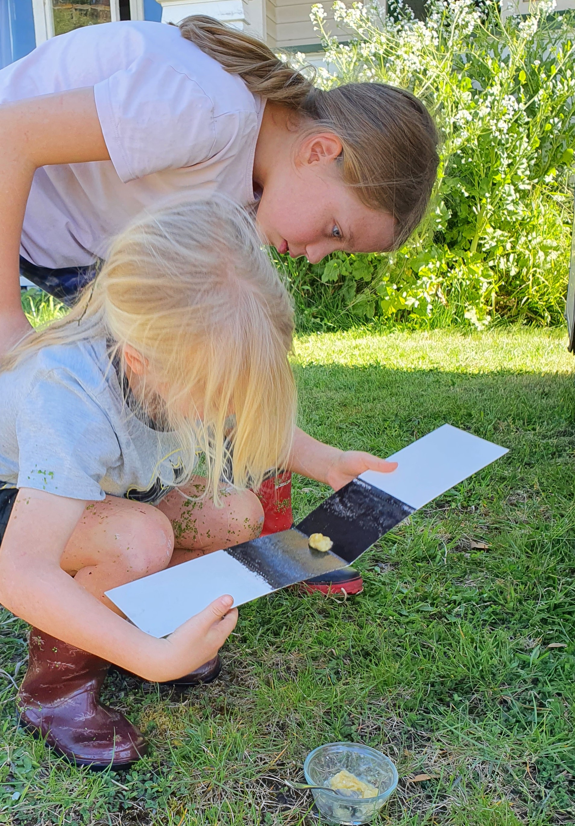 Caelyn and Riley Hossack checking the tracking tunnels put out to check on the rare skinks.