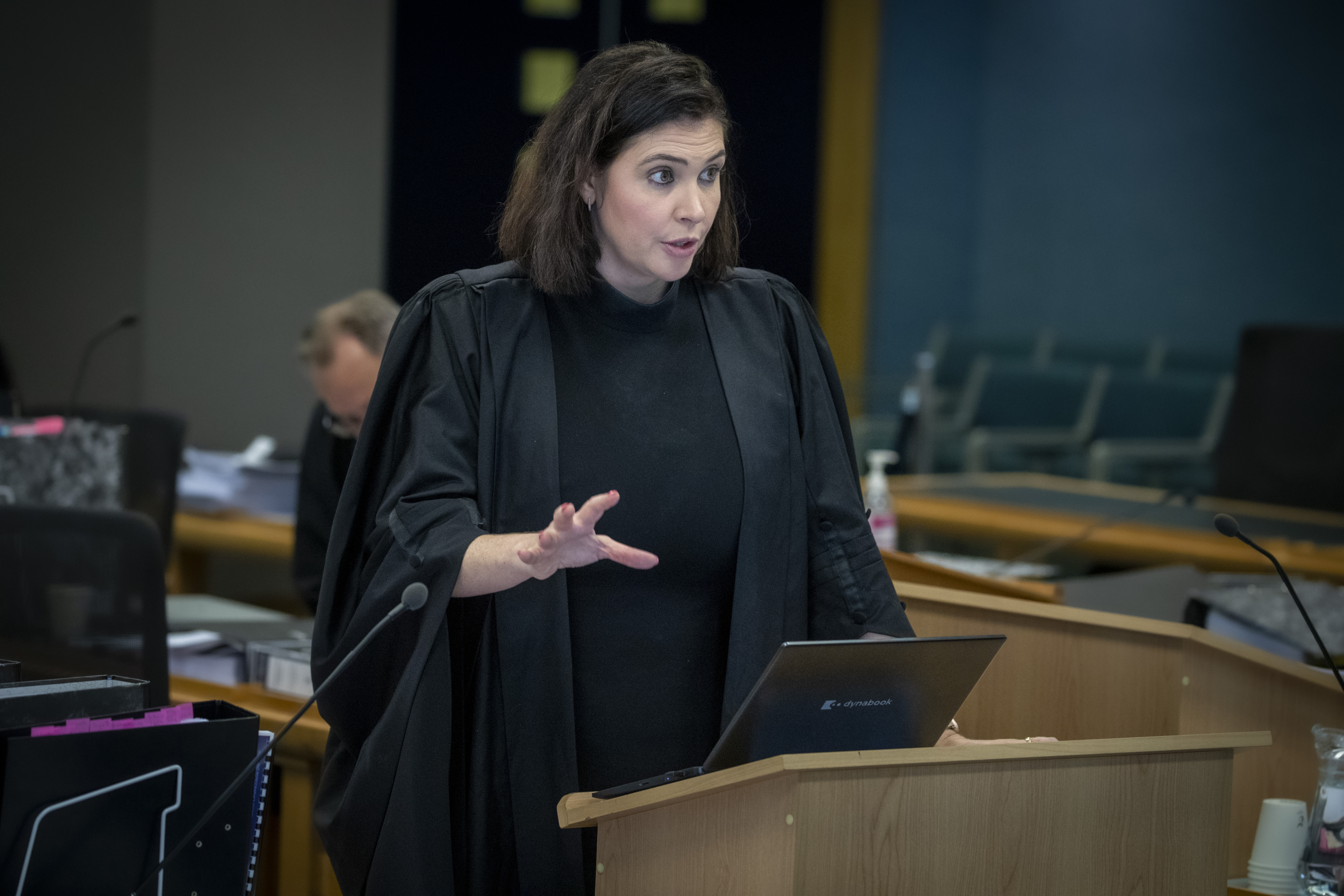 Crown prosecutor Fiona Culliney addresses the jury during Valent's trial. Photo / Michael Craig