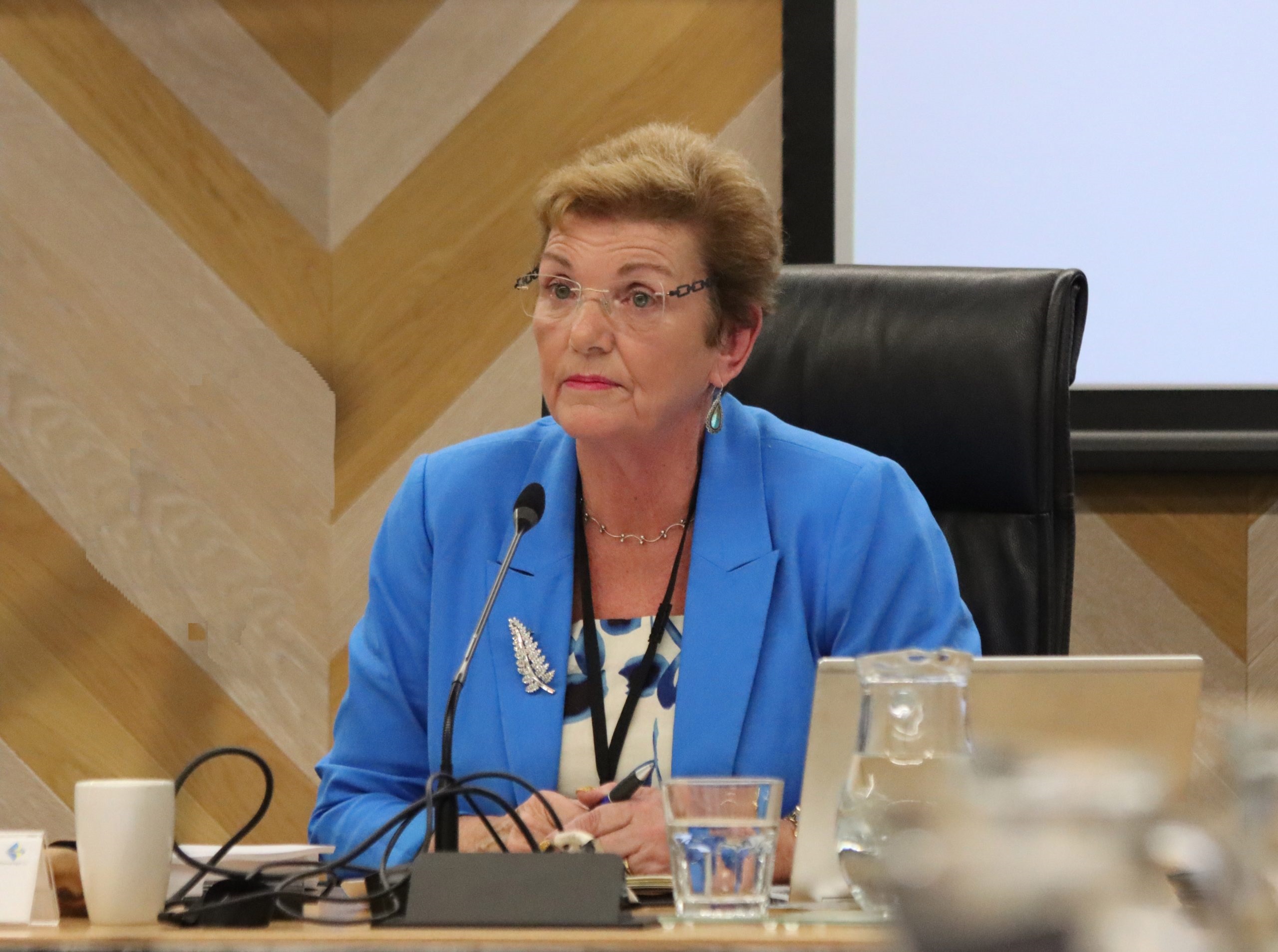 Commission chair Anne Tolley. Photo / John Borren, SunLive