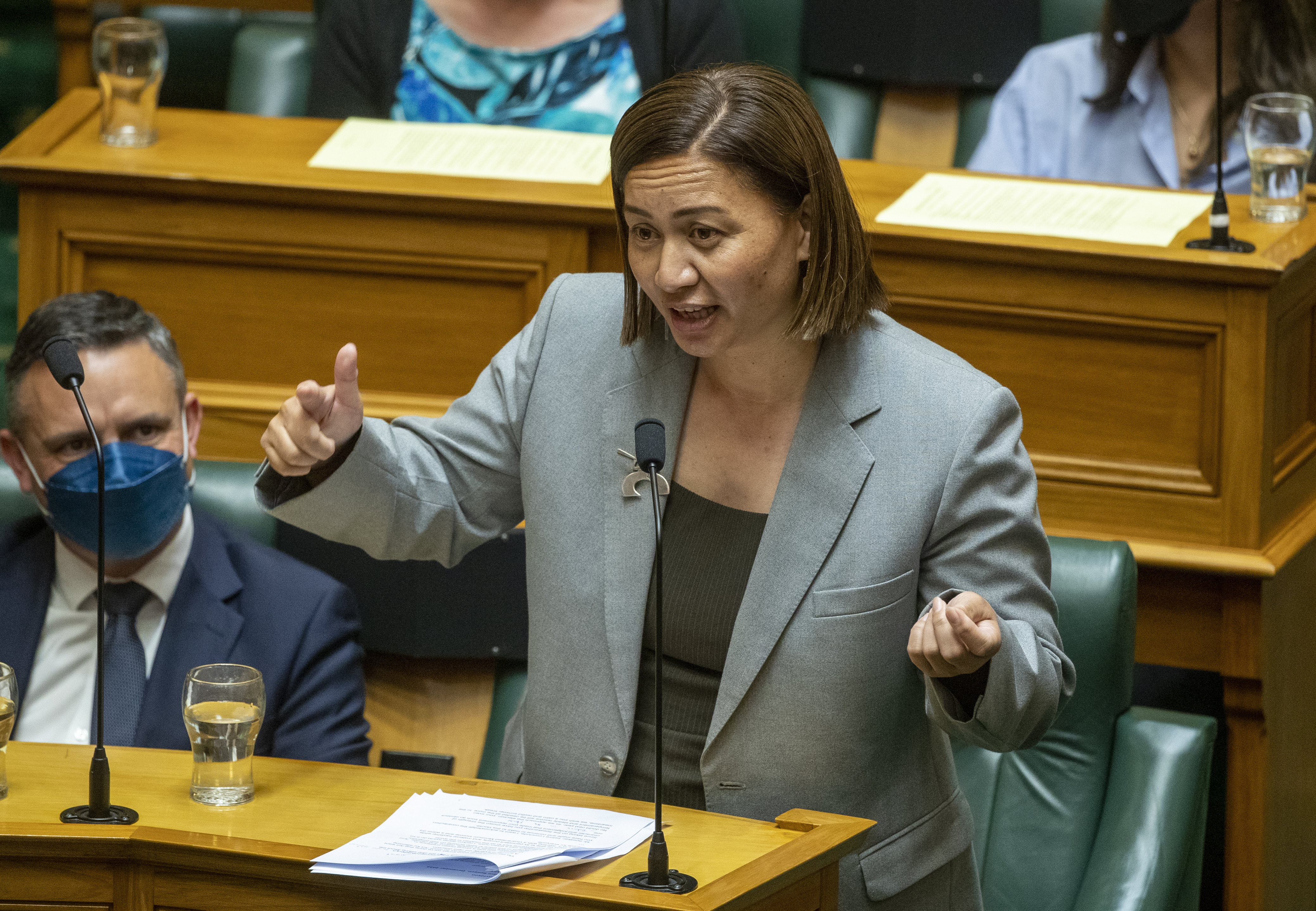 Greens co-leader Marama Davidson said it is 