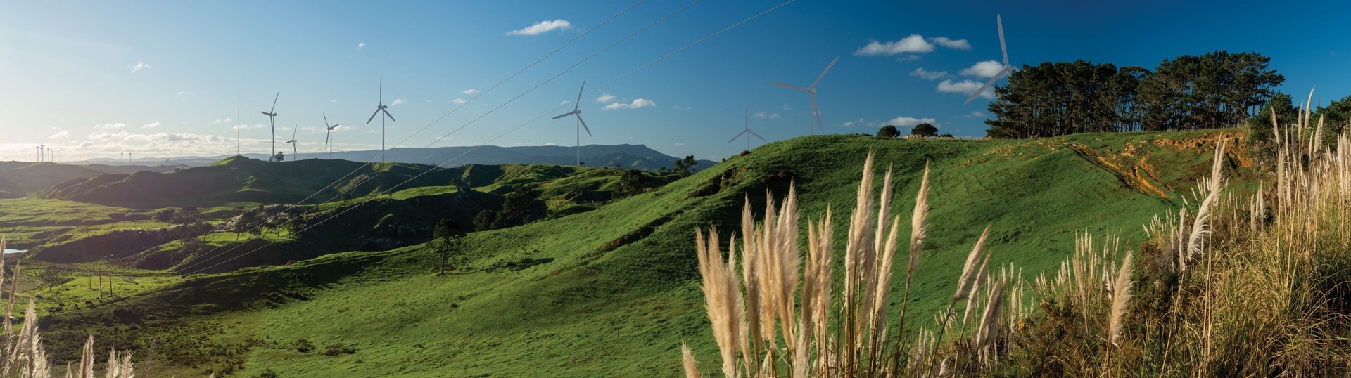 Another impression of Omamari Wind Farm as seen from Babylon Coast Rd, north of Dargaville. Image / supplied