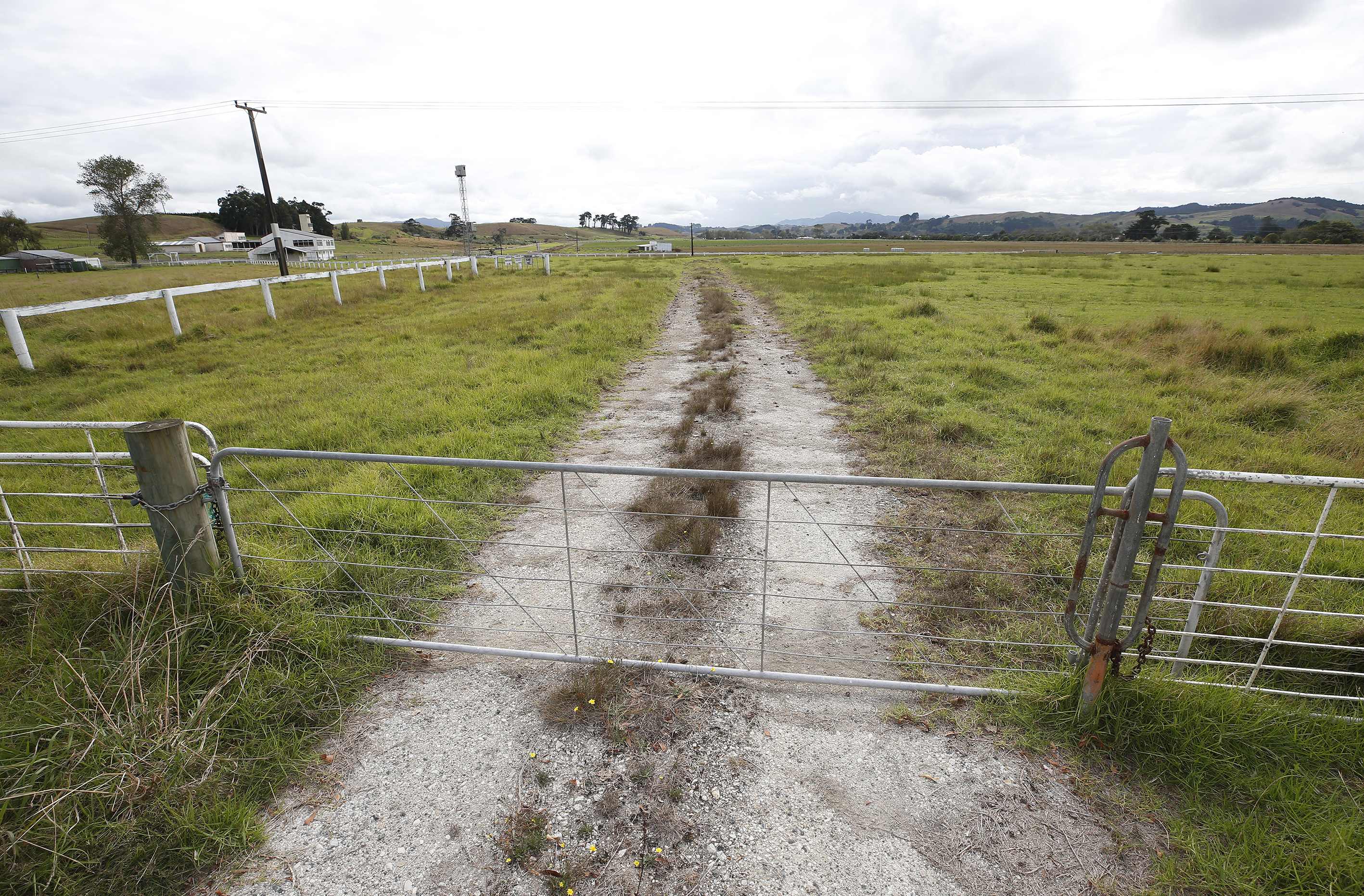 The Dargaville Racecourse is looking for new owners and is available with the designation of General Residential, Large Lot and Industrial after a private plan change. Photo / NZME 