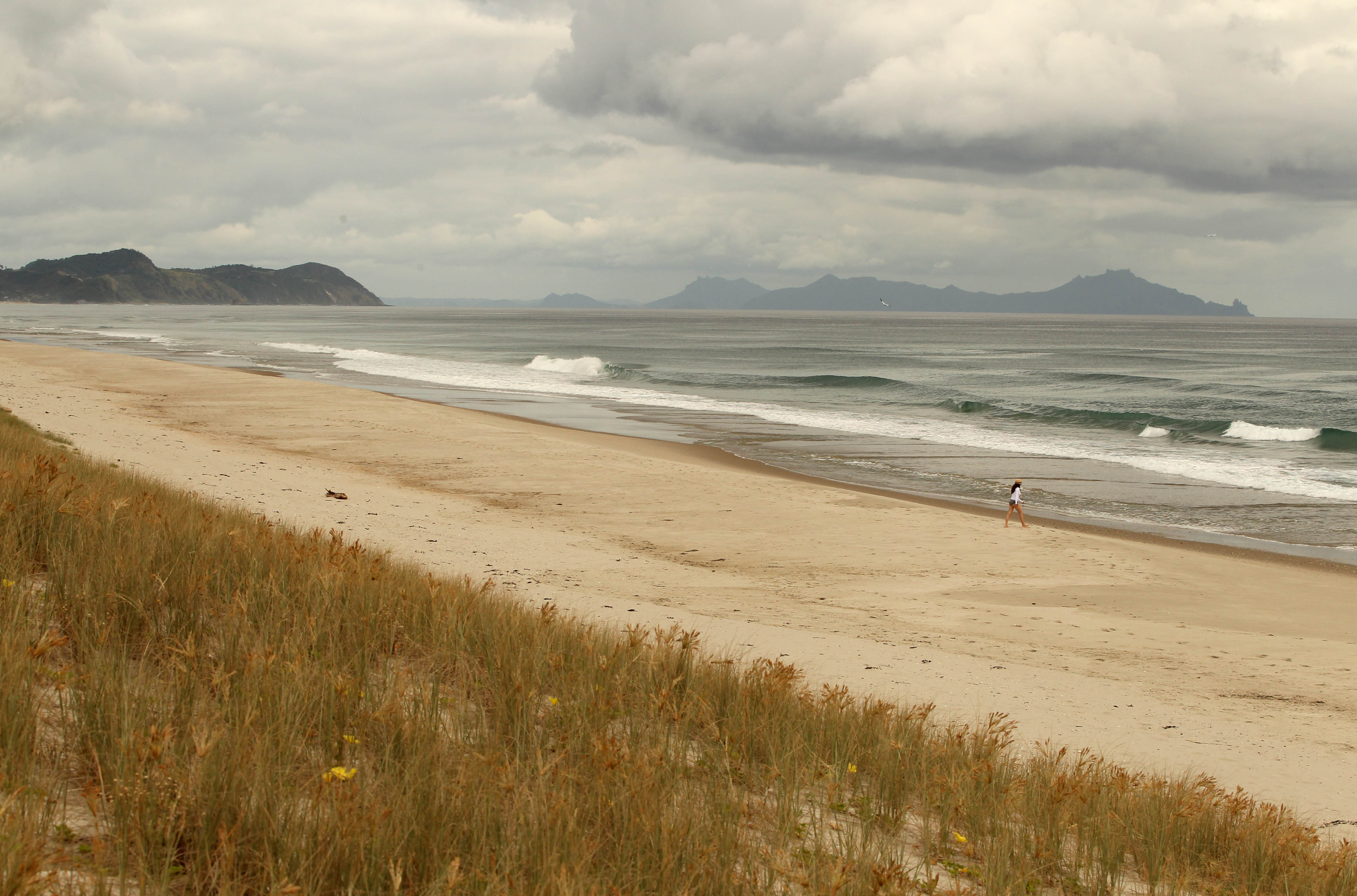 Te Arai beach near Mangawhai, where the Te Uri o Hau iwi hope to build a world class golf course with the help of US financier Ric Kayne.  Photo / Janna Dixon