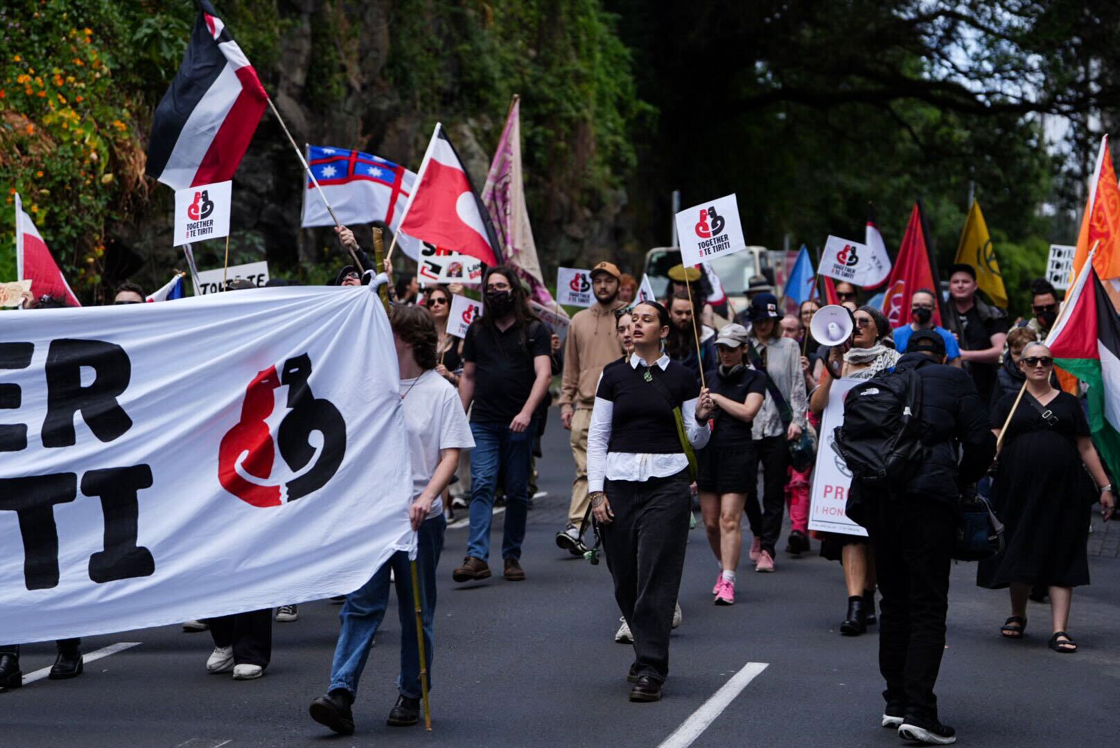 People in Epsom protesting against the introduction of the Treaty Principles Bill in Parliament. Photo / Carson Bluck