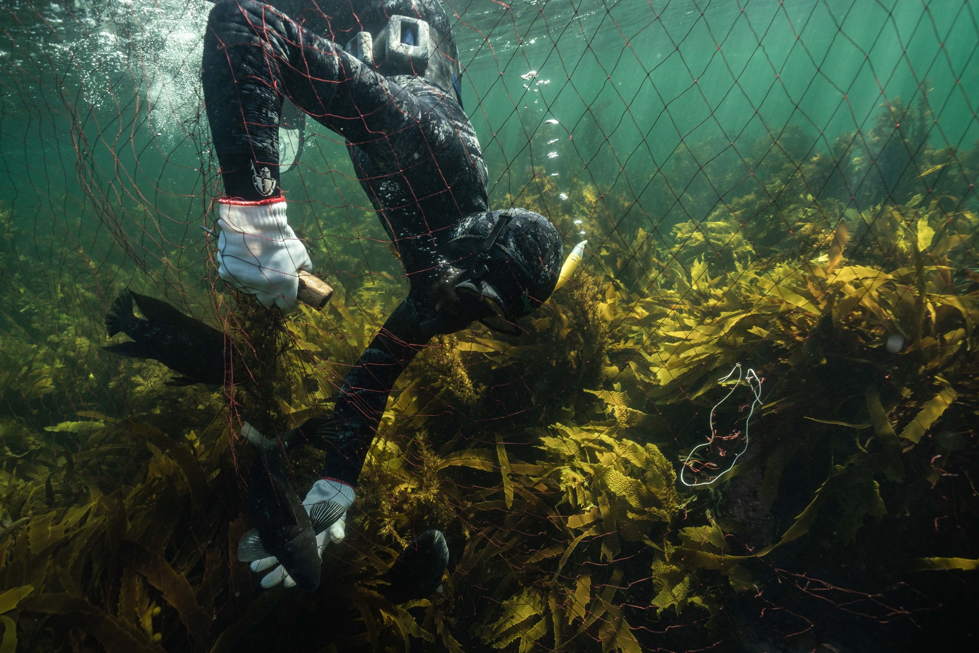 A 'retreat' doesn't have to come with fluffy bathrobes: Gravity Fishing Stewart Island. Photo / Supplied