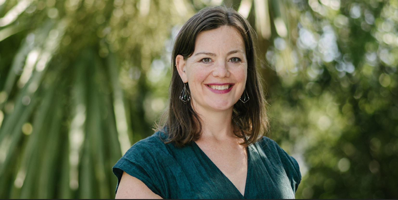 Green Party transport Julie Anne Genter.