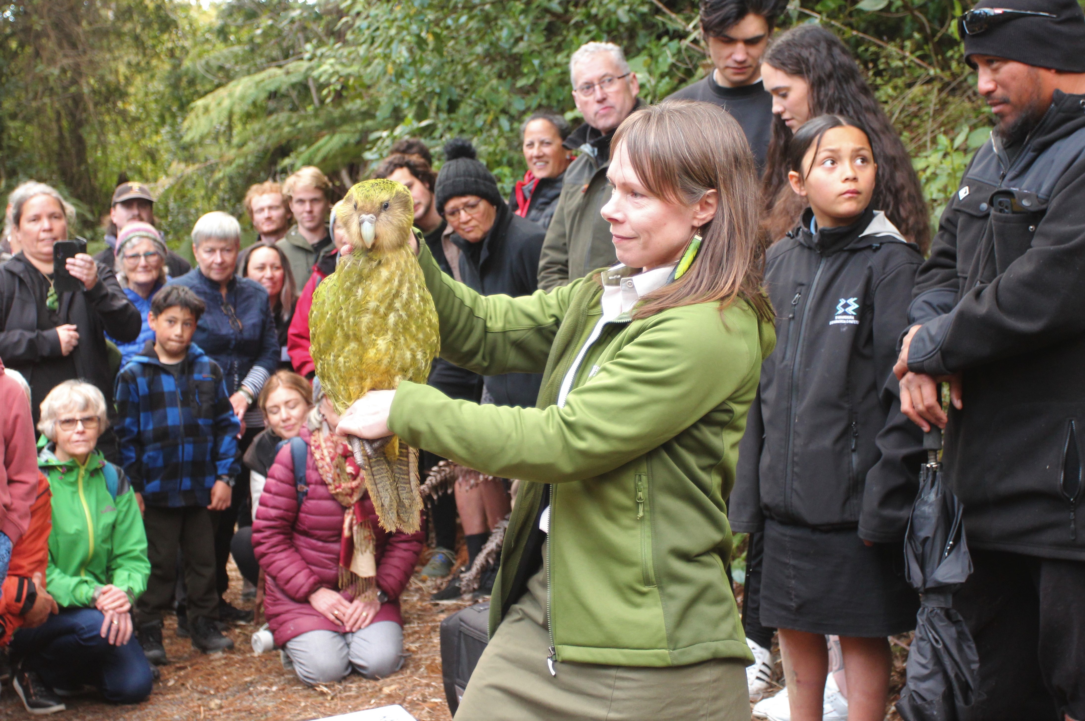 Department of Conservation Kākāpō Recovery operations manager Deidre Vercoe introduces Manawanui to the crowd at Sanctuary Mountain. Photo / Danielle Zollickhofer