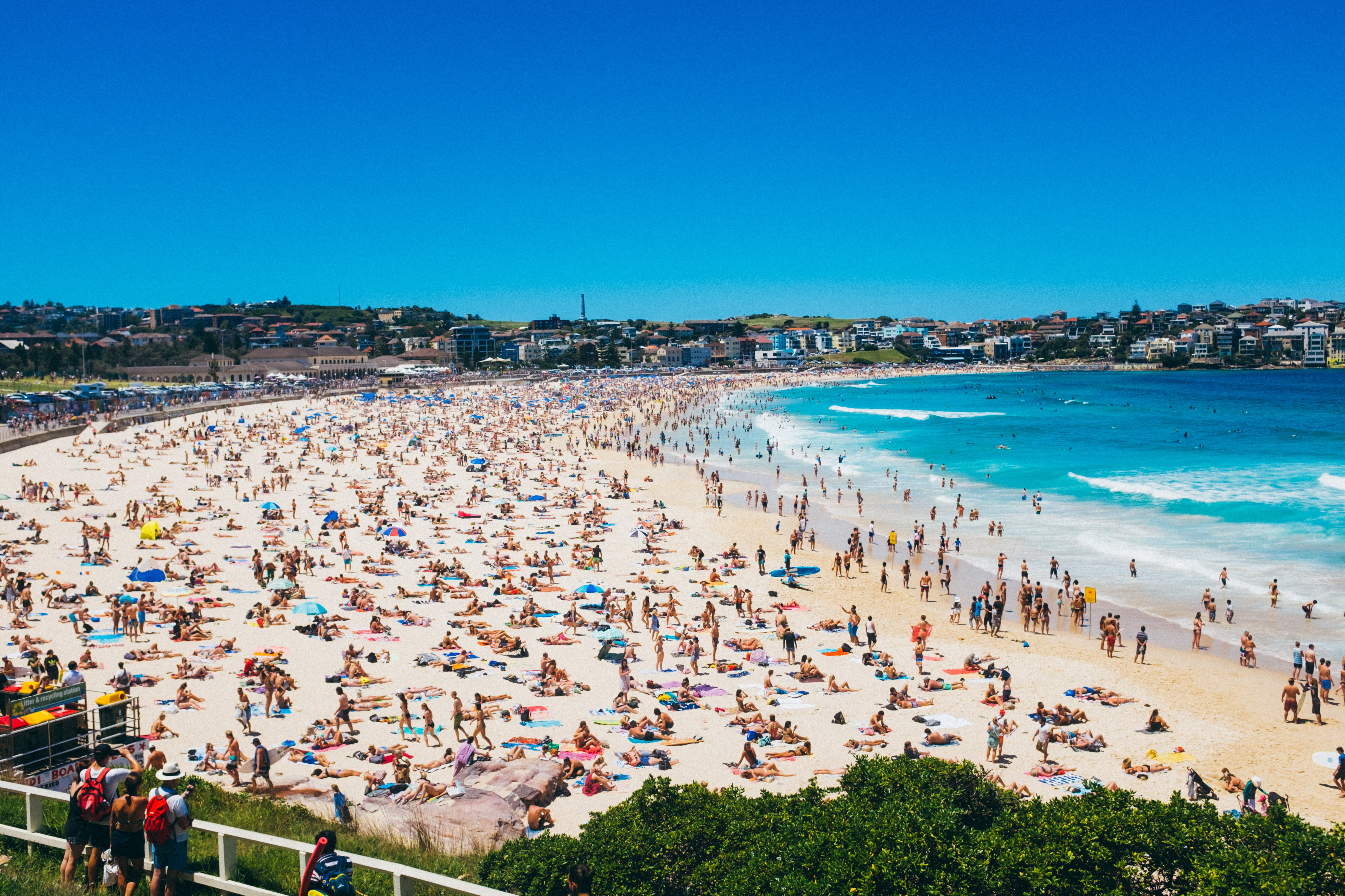 Aucklands Browns Bay beach described as busiest on Tripadvisor in  Australia, New Zealand - NZ Herald