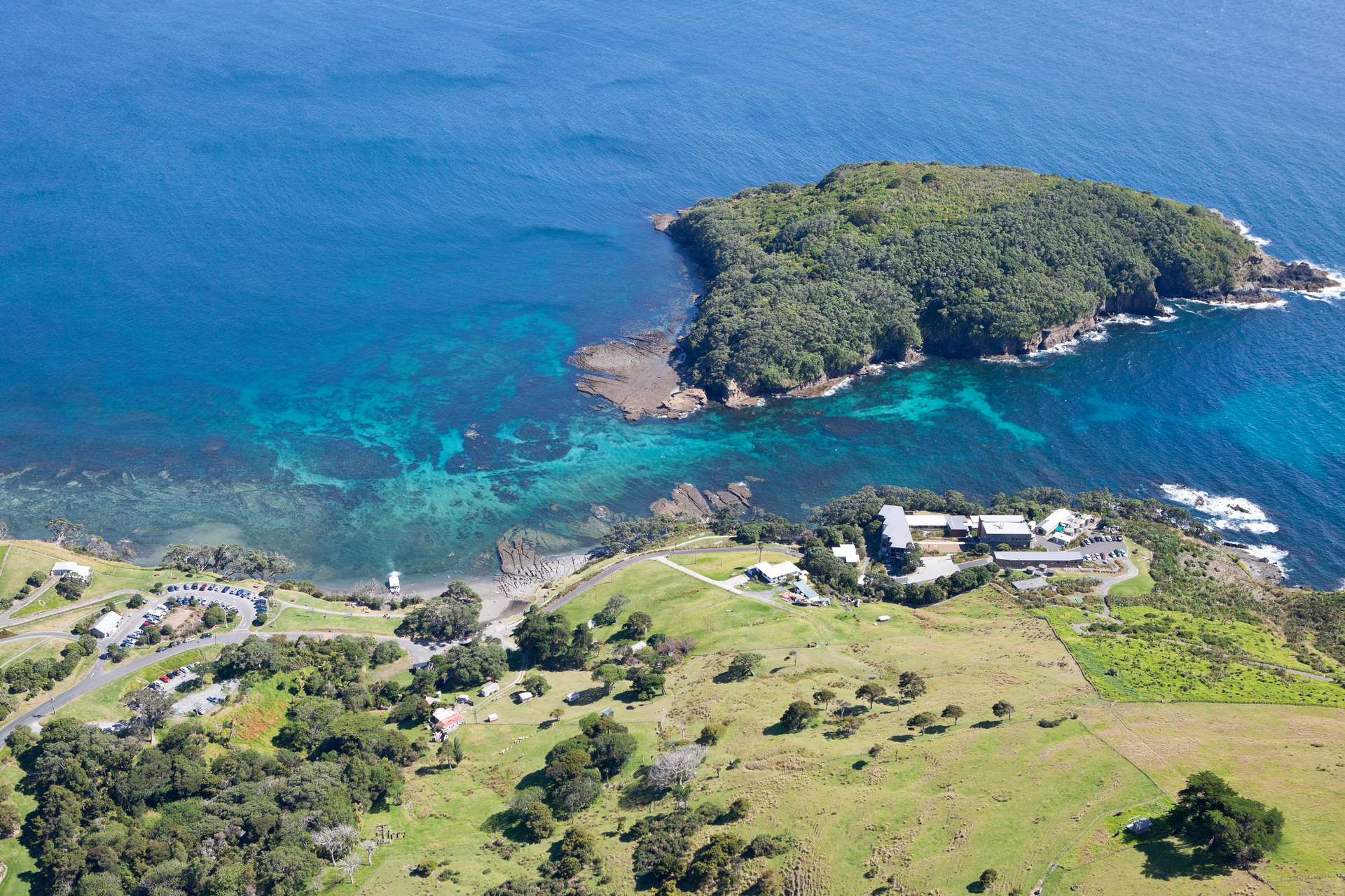 Cape Rodney-Okakari Point (Goat Island) Marine Reserve near Leigh, north of Auckland, is New Zealand's oldest marine reserve. Photo / Jay Farnworth