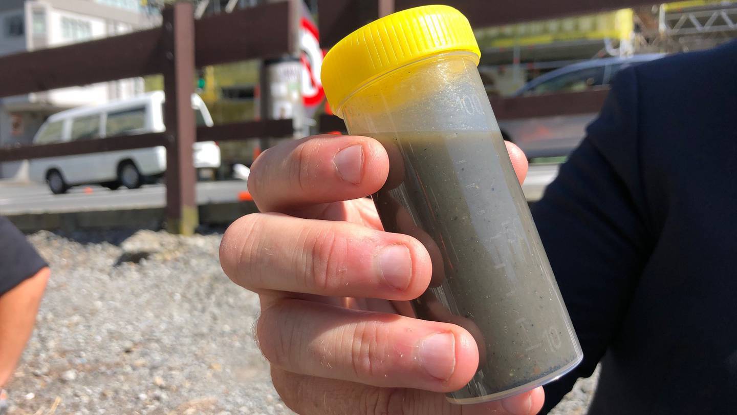 A sample of sludge. Photo / Georgina Campbell