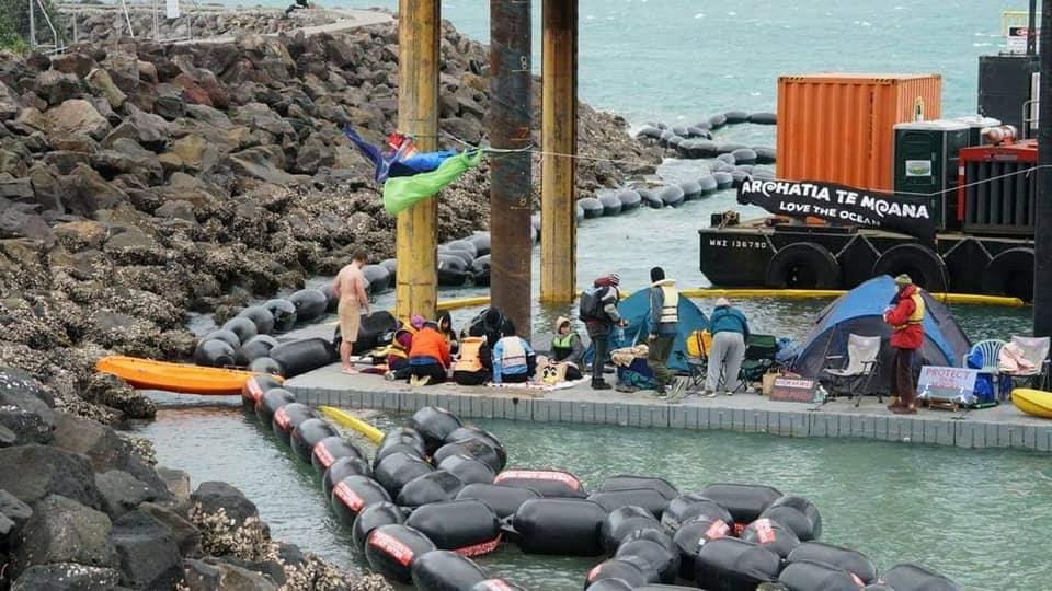 Protesters occupying the area to stop marina construction work. Photo / Protect Pūtiki