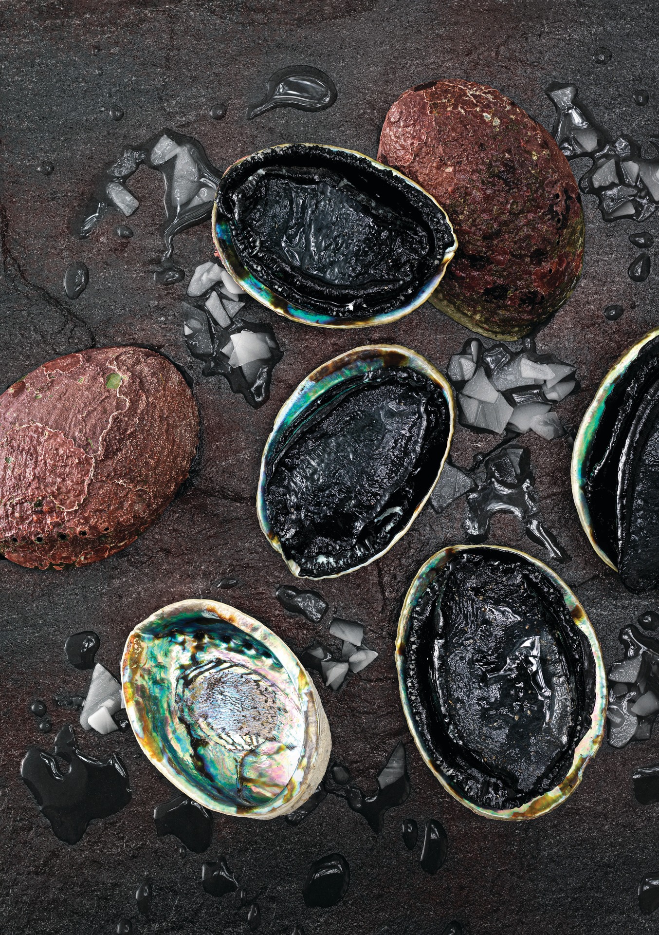 Wild-caught paua. Photo/Supplied
