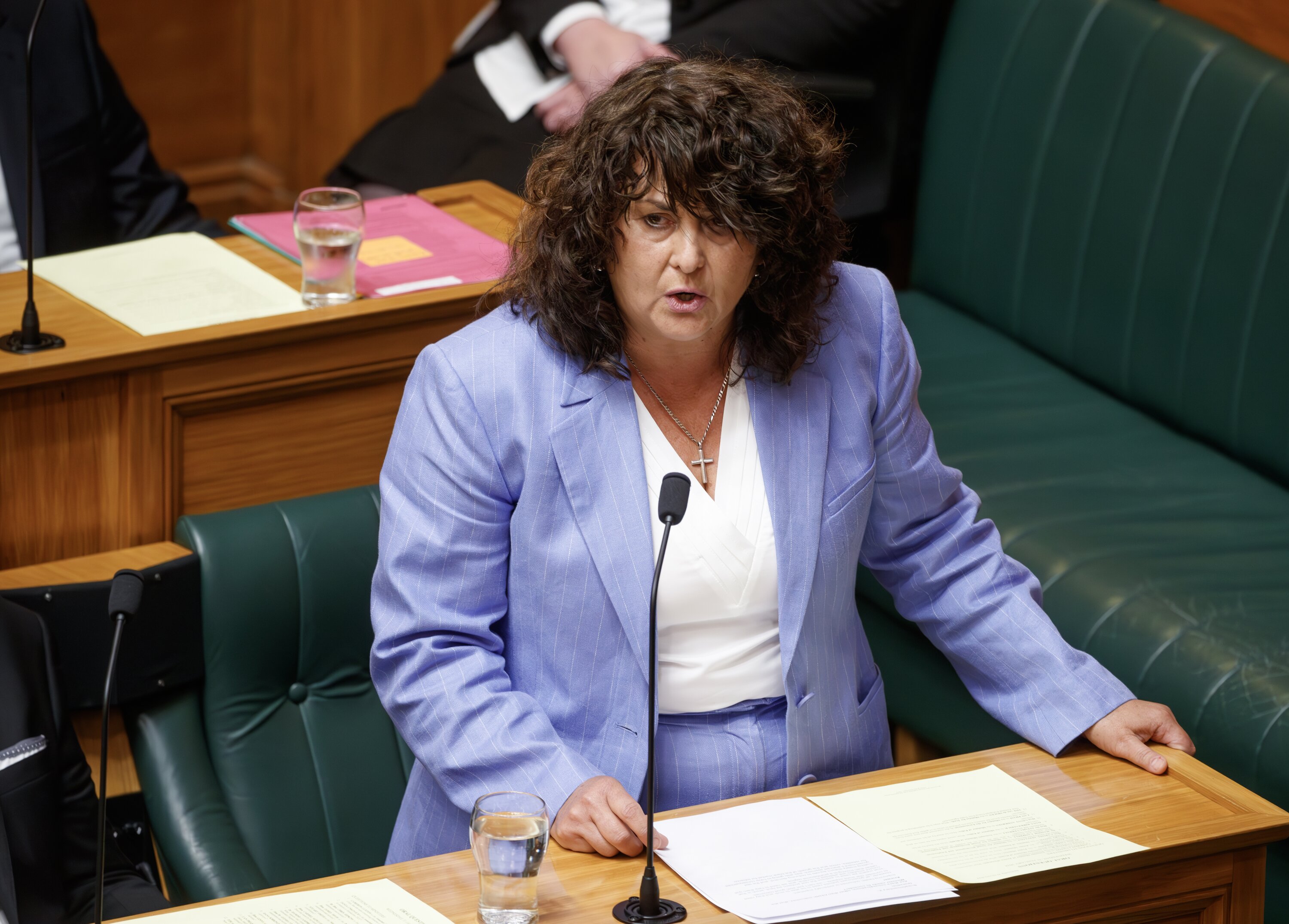 Associate Health Minister Casey Costello maintains the Smokefree 2025 goals can still be achieved. Photo / Mark Mitchell