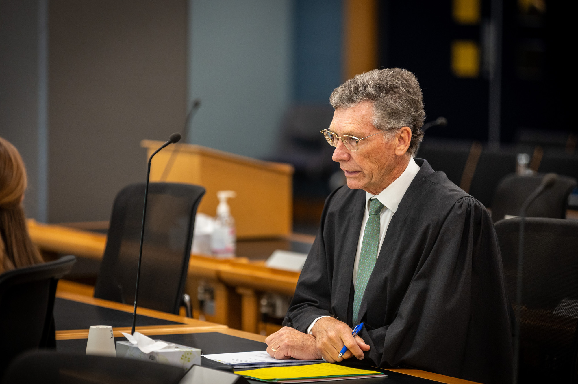 Defence lawyer Philip Hamlin cross-examines a witness in the High Court manslaughter trial of Kaixiao Liu and his family in Auckland. Photo / Michael Craig