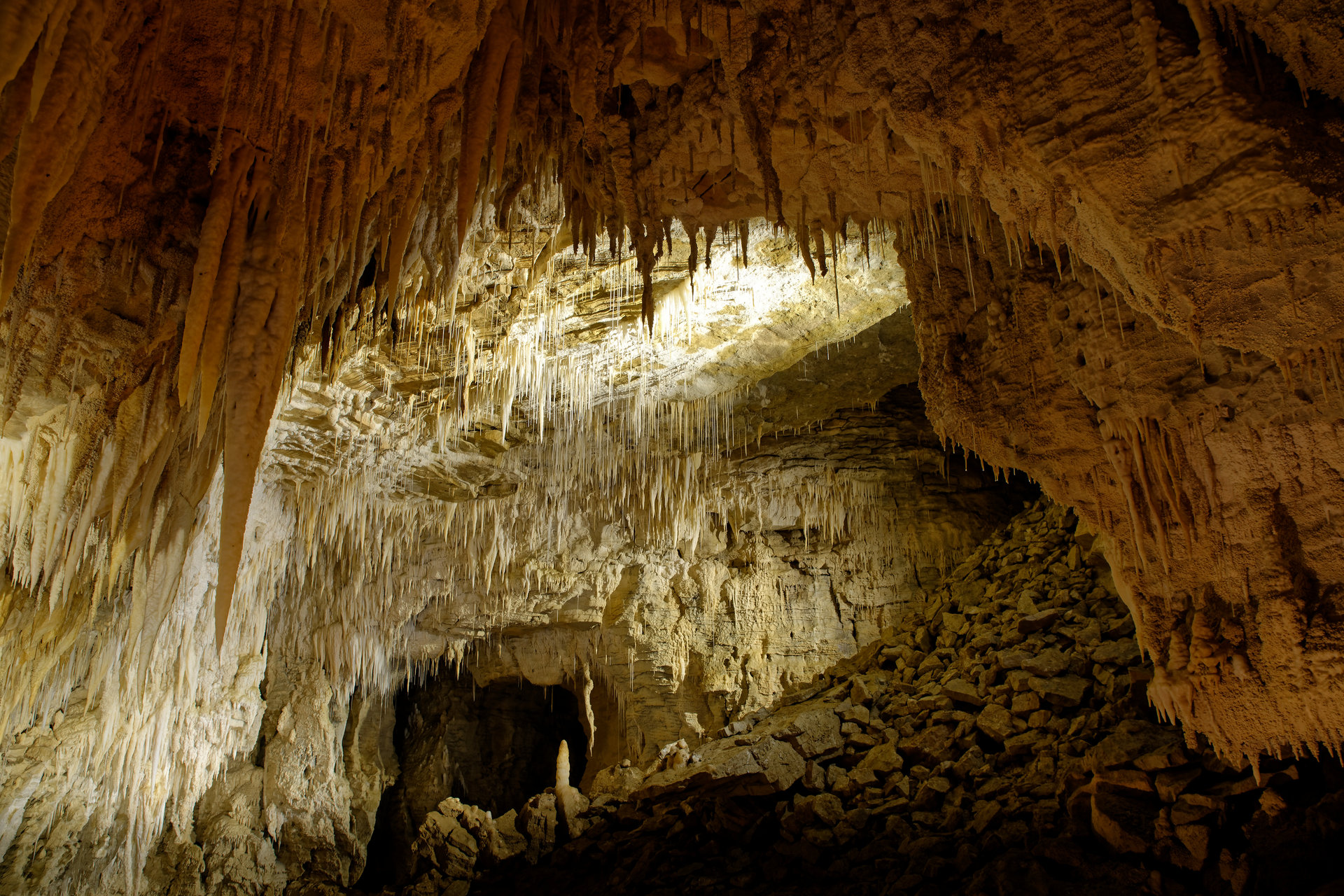 Waitomo caves. Photo / 123rf