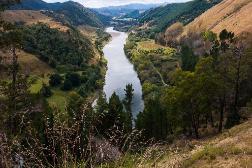 Whanganui River, North Island, New Zealand.