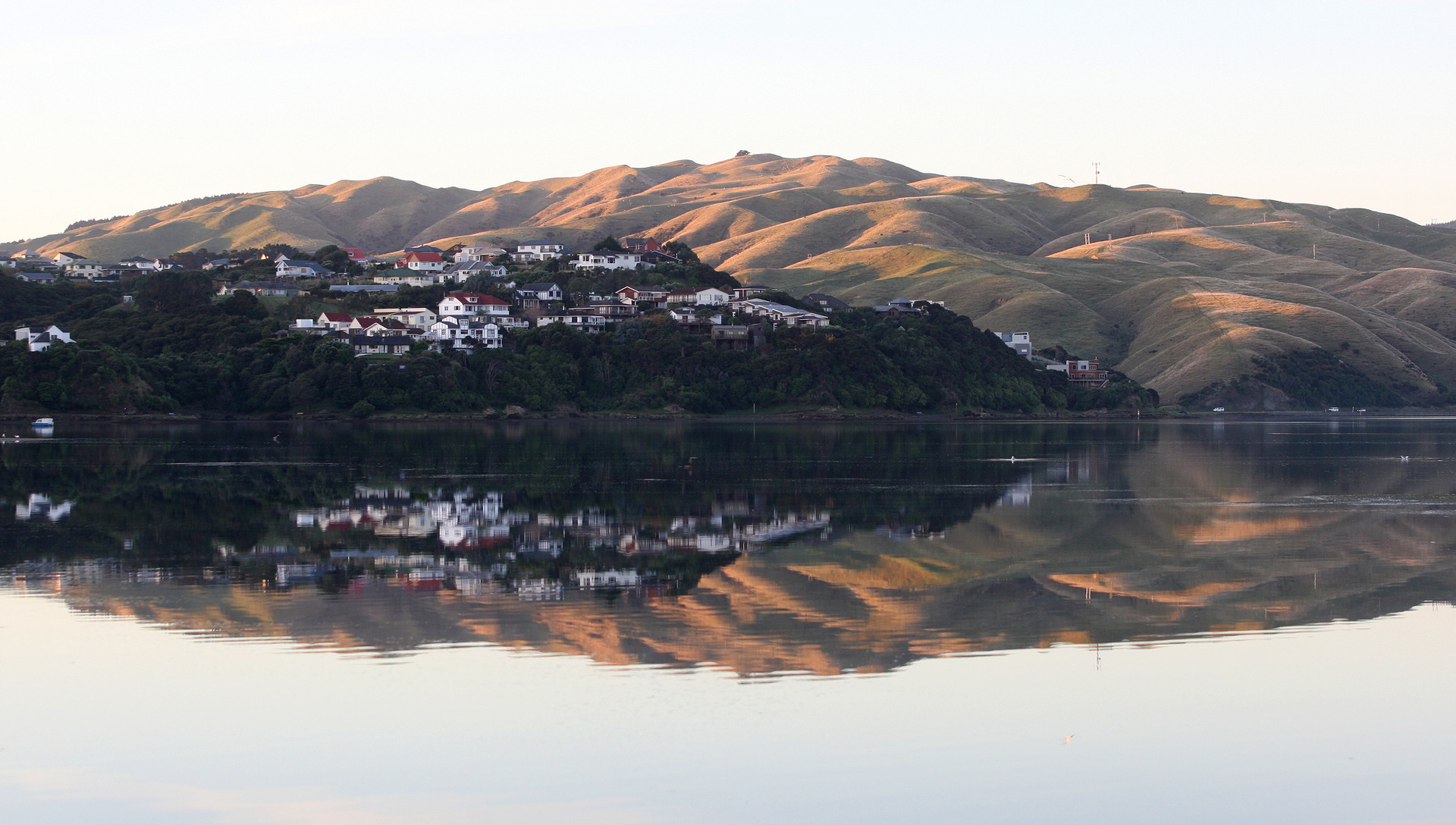 Sedimentation rates have more than doubled in the last five years in Te Awarua-o-Porirua Harbour. Photo / Mark Mitchell. 
