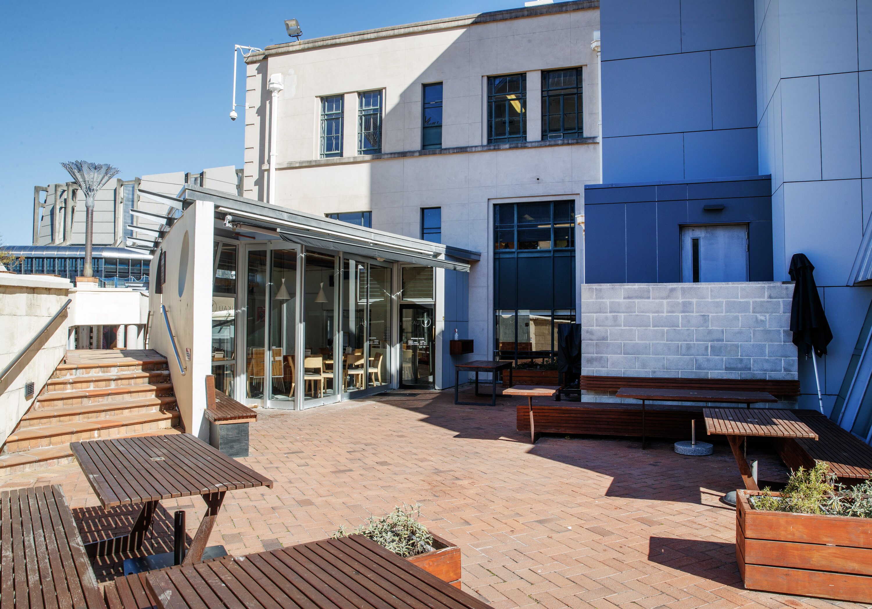 Recent construction in Civic Square has severely limited foot traffic to Nikau Cafe, causing revenue to dwindle. Photo / Mark Mitchell  
