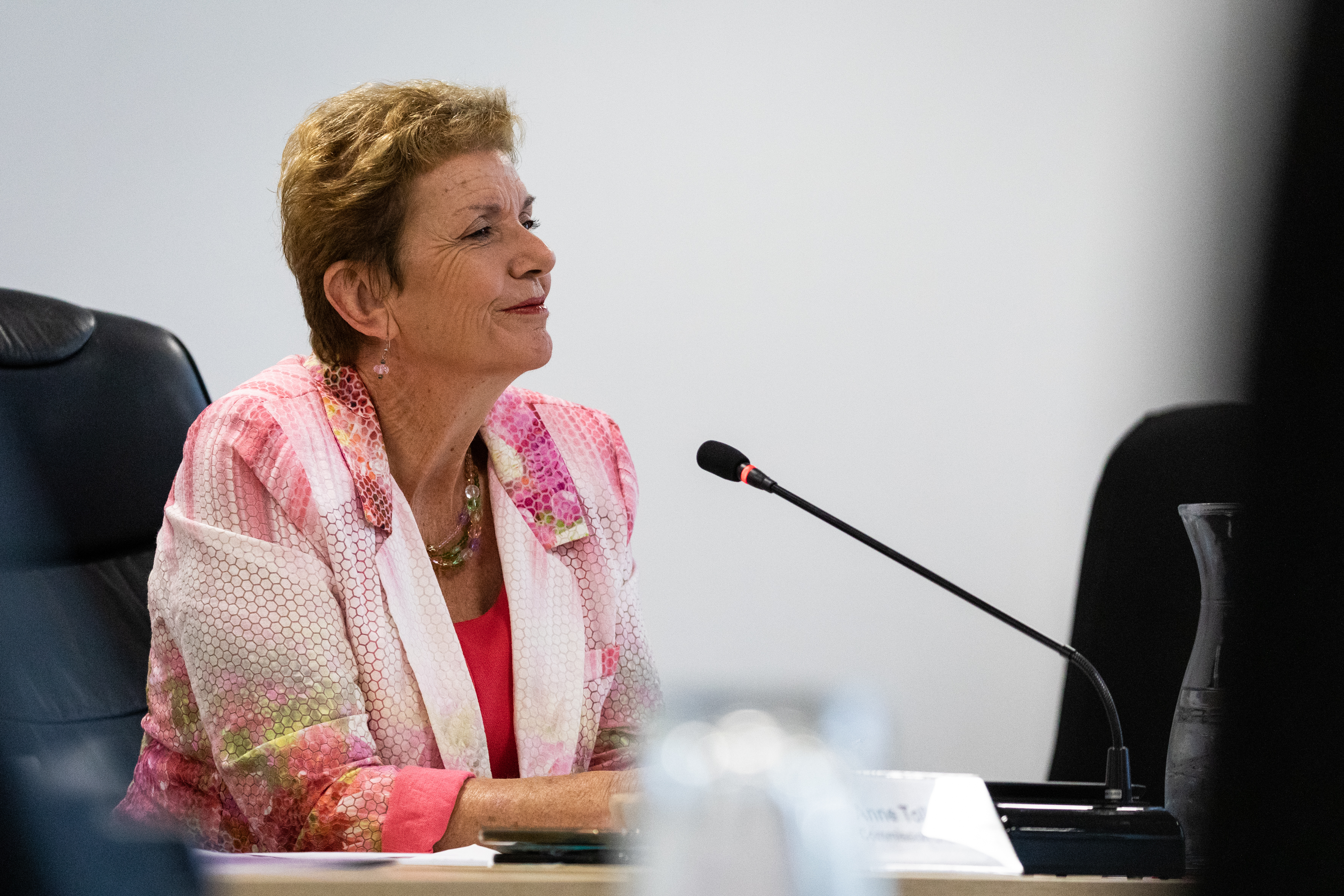 Tauranga City Council commission chairwoman Anne Tolley. Photo / Alex Cairns