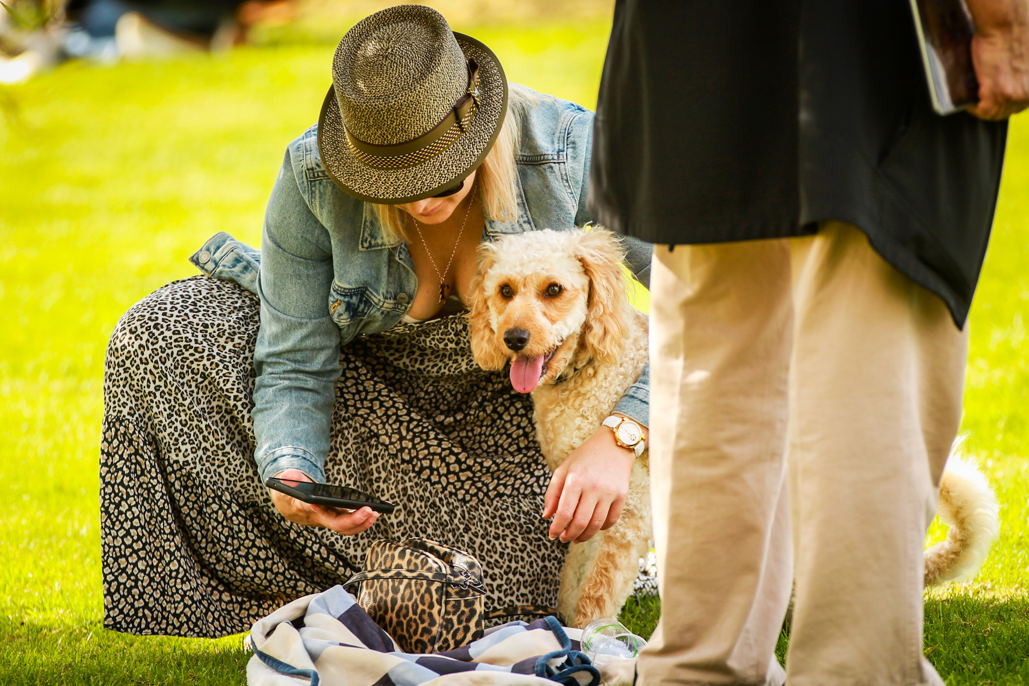 Katie Silcock from Napier with her pooch, Pixel. Photo / Paul Taylor
