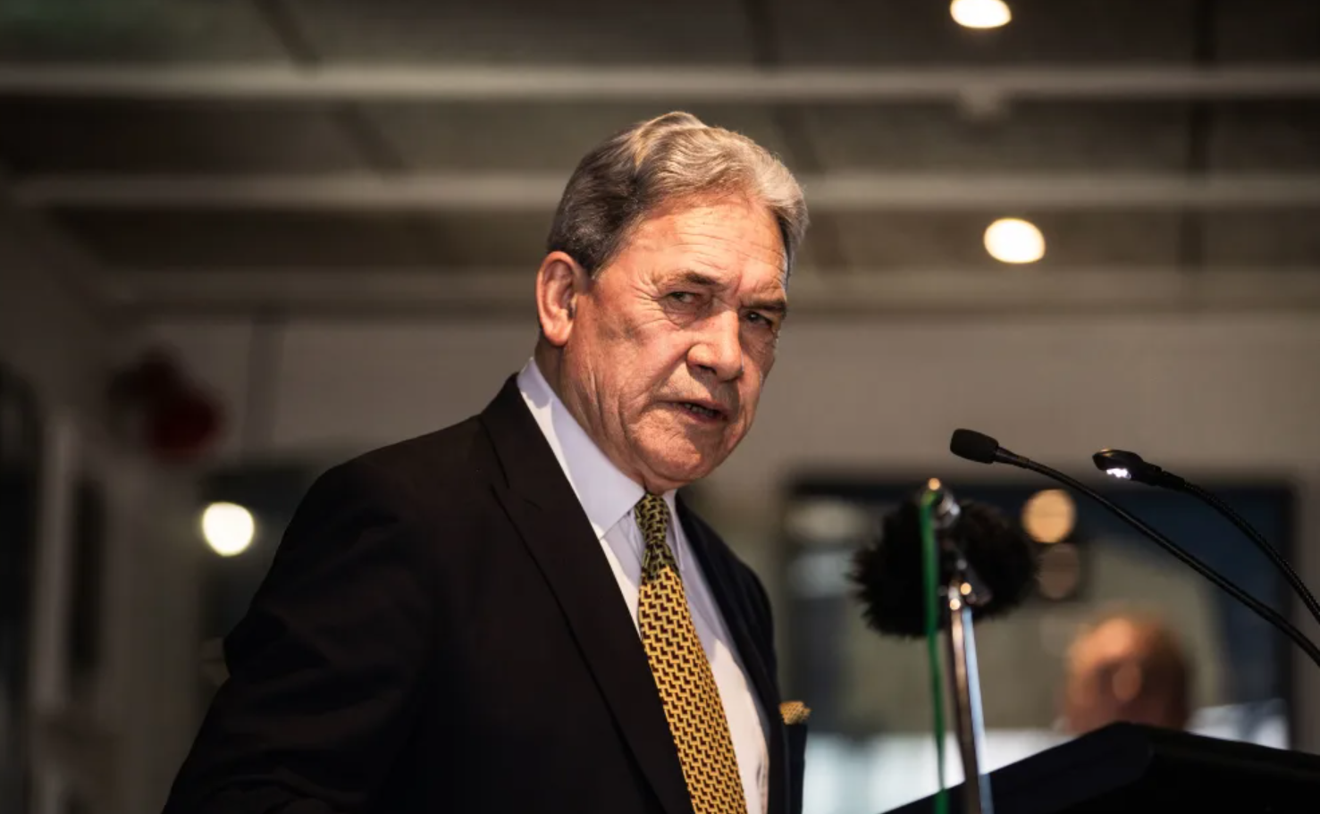 New Zealand First leader Winston Peters. Photo / RNZ, Samuel Rillstone