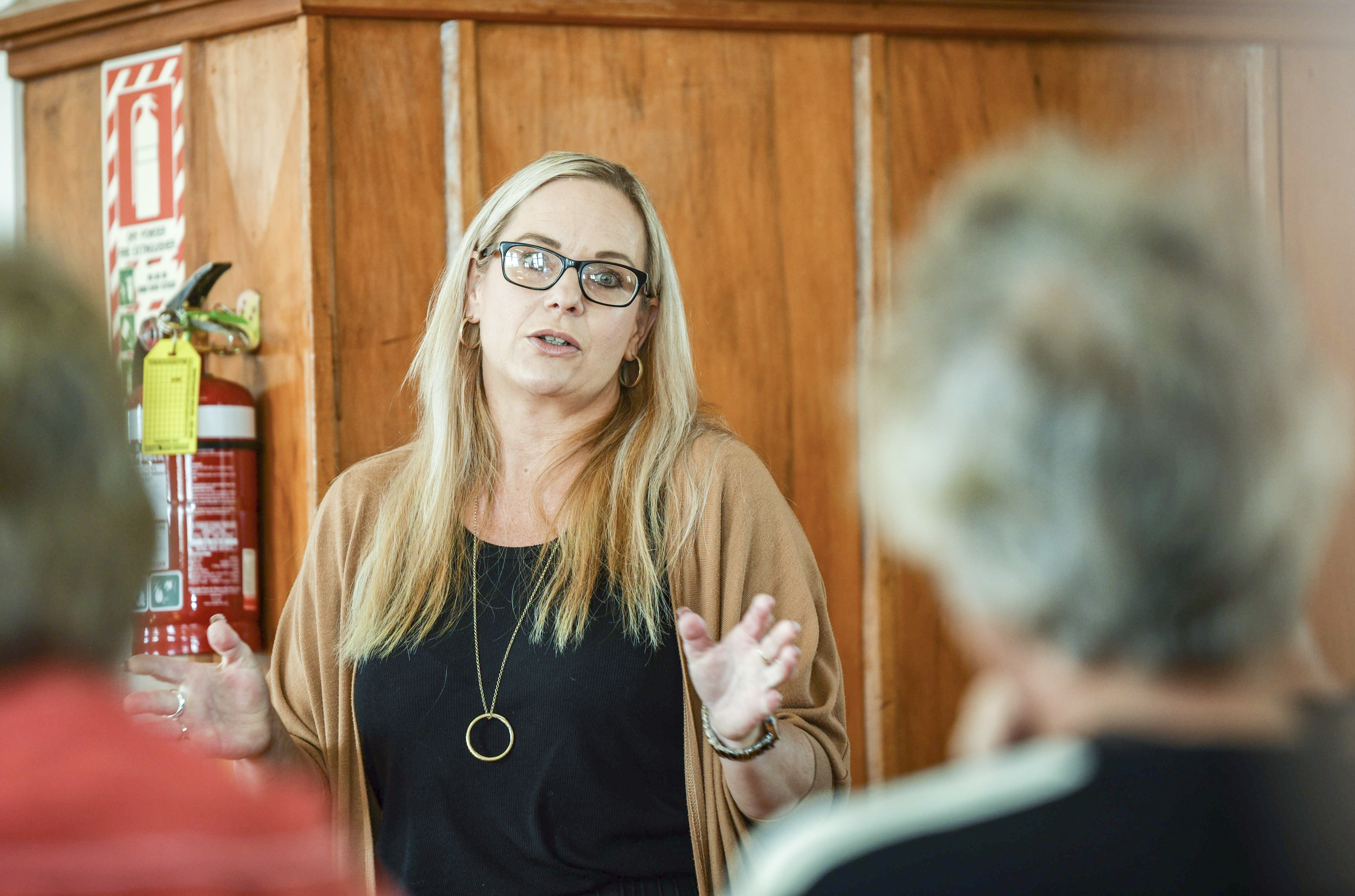 Napier Mayor Kirsten Wise is disappointed the Government is not contributing more for property buyouts. Photo / Ian Cooper