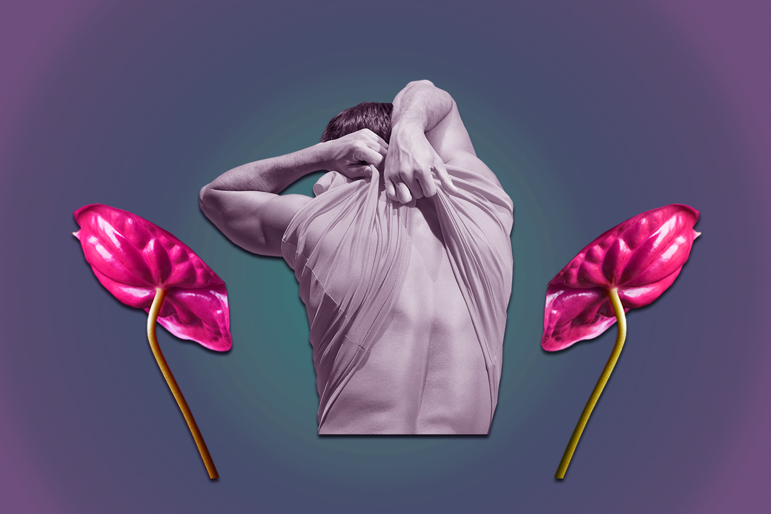 Collage / Julia Gessler
