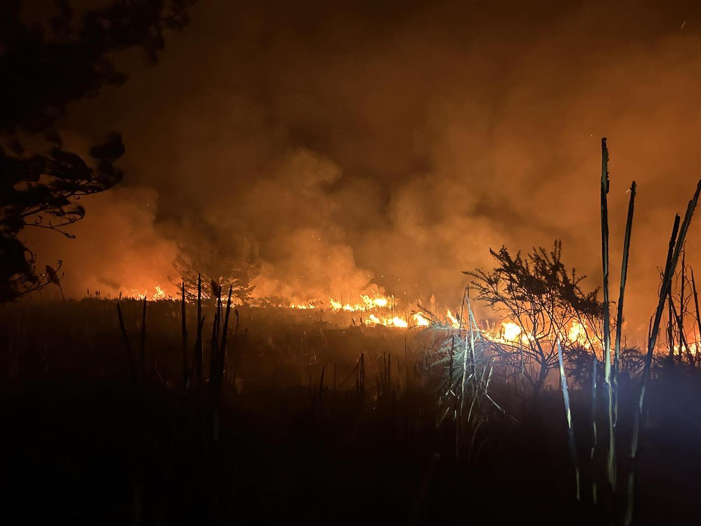 Vegetation fires in Ruakākā earlier this month.