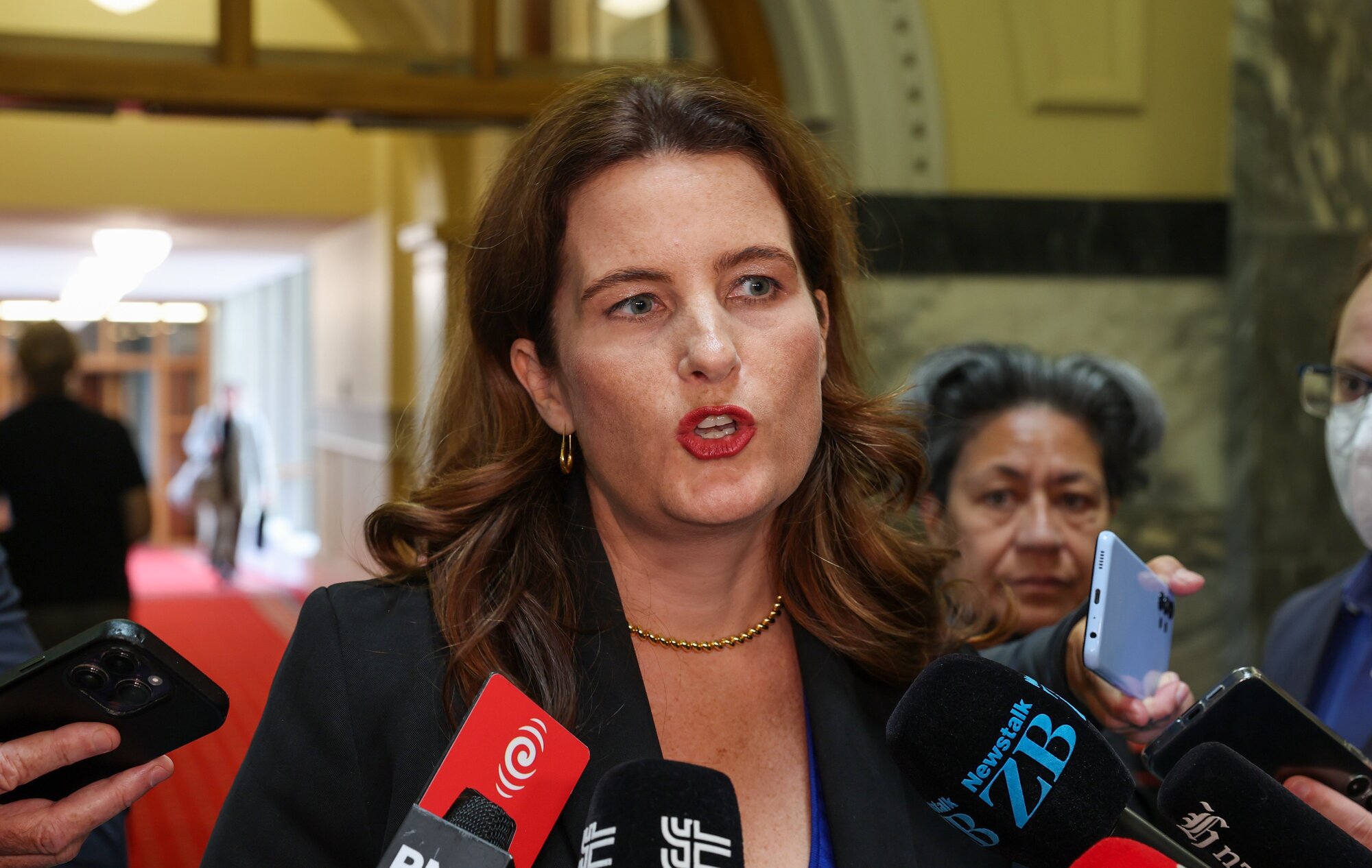 Finance Minister Nicola Willis considers legislative change to compel the Reserve Bank to loosen its bank capital rules. Photo / Mark Mitchell