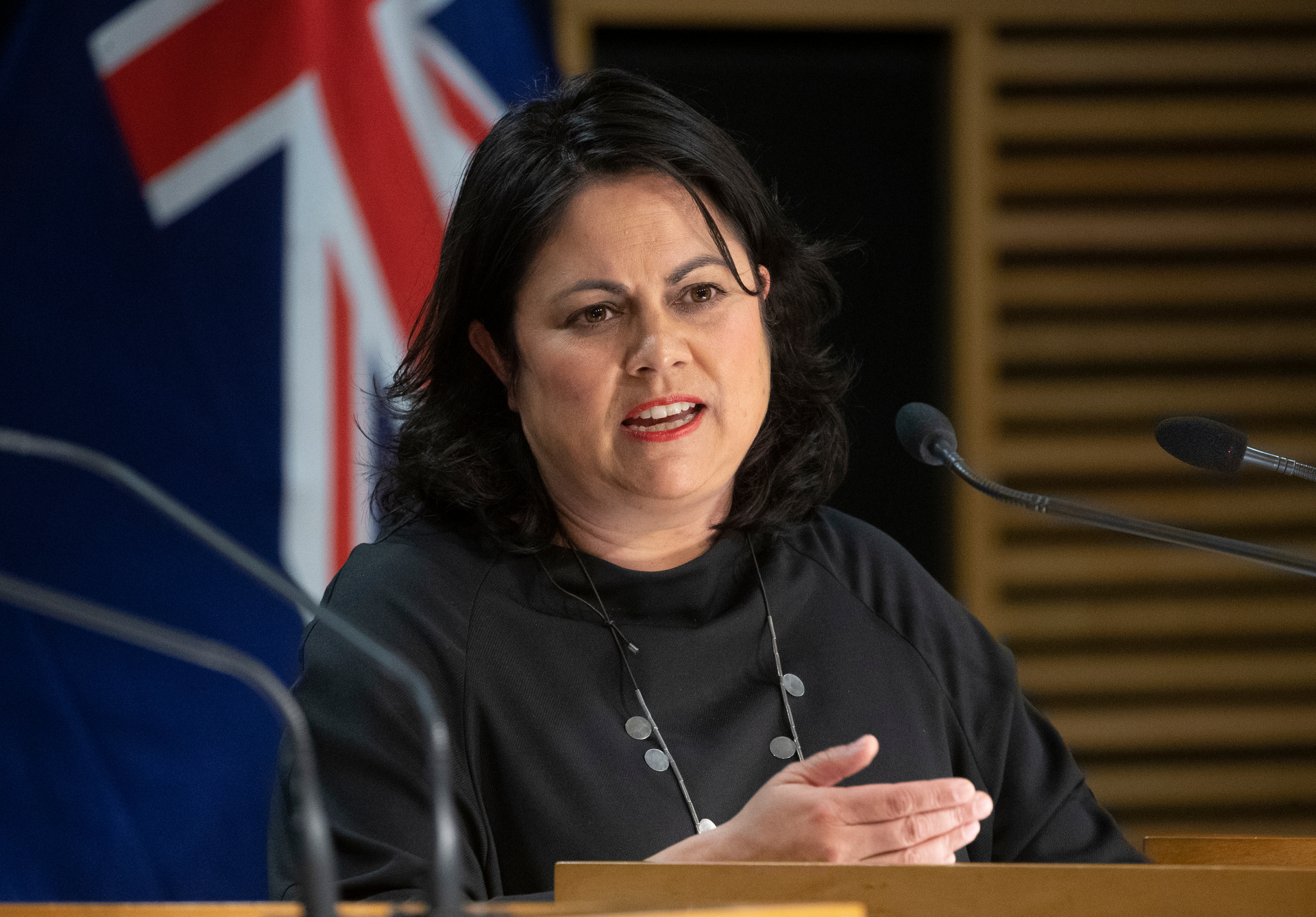 Health Minister Ayesha Verrall. Photo / Mark Mitchell