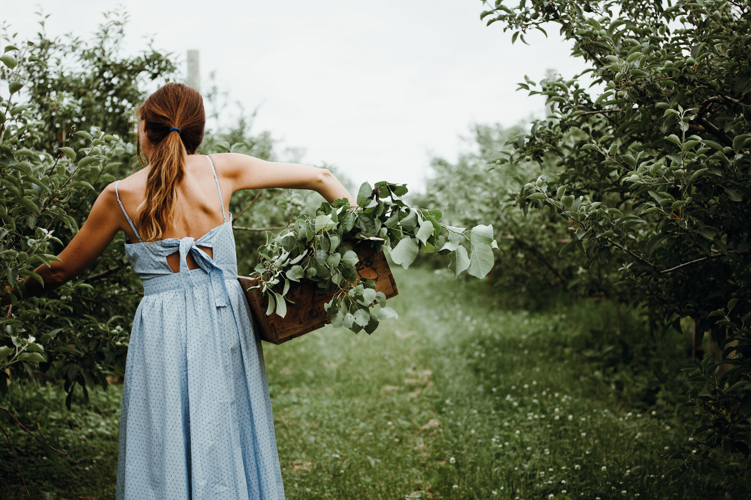 Unplug and get involved with a community garden. Photo / Getty Images
