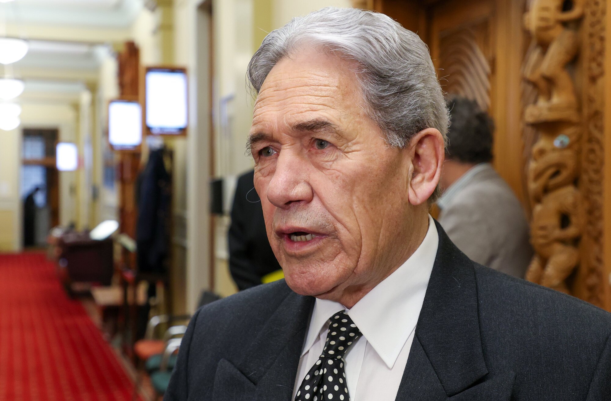 Winston Peters said the Greens can't add up properly. Photo / Mark Mitchell