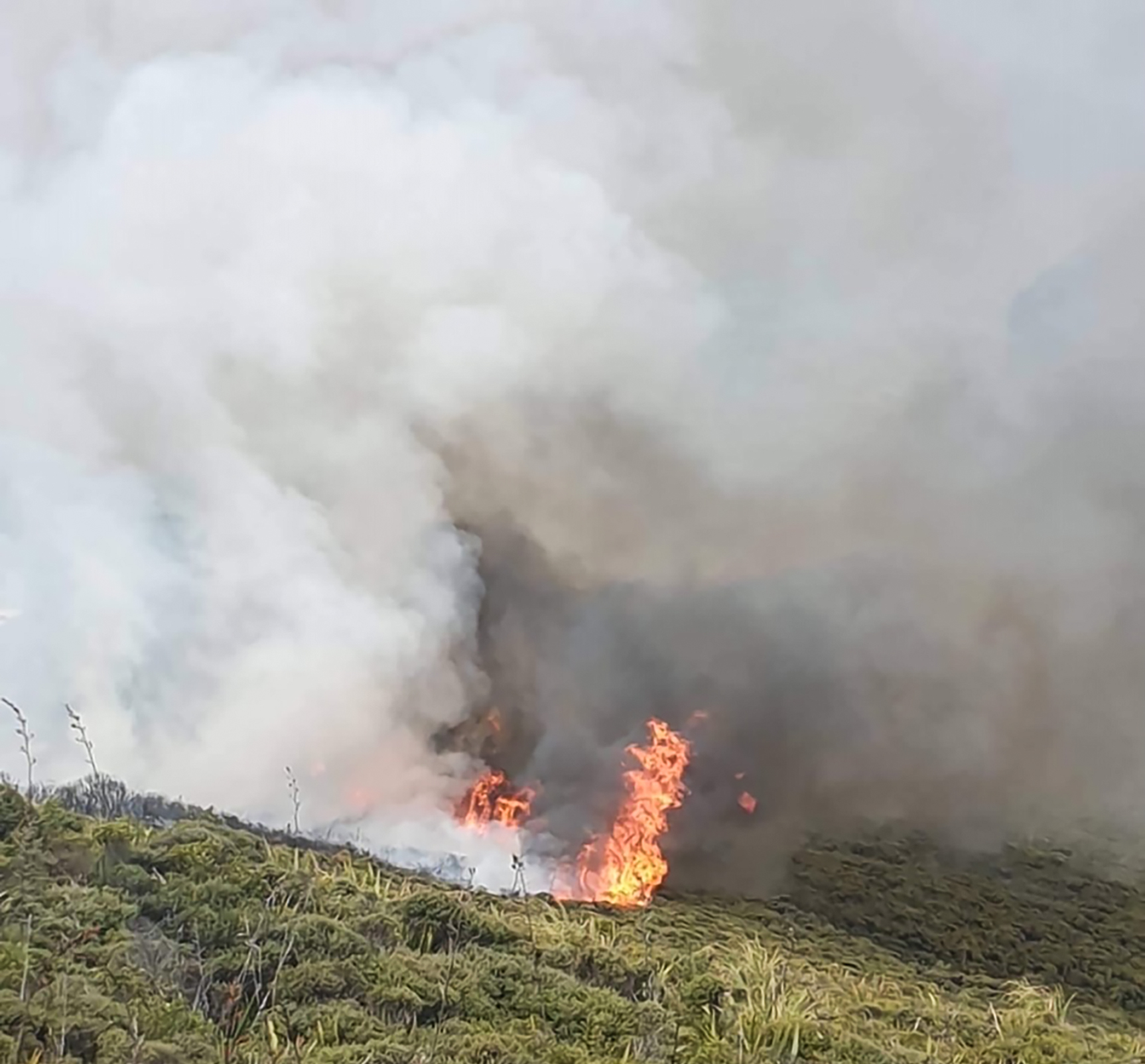 A scrub fire near Cape Reinga closed State Highway 1 to Te Rerenga Wairua / Cape Reinga and Sandy Bay Track in January 2020, and authorities worry wildfires could break out again in the Far North this summer.