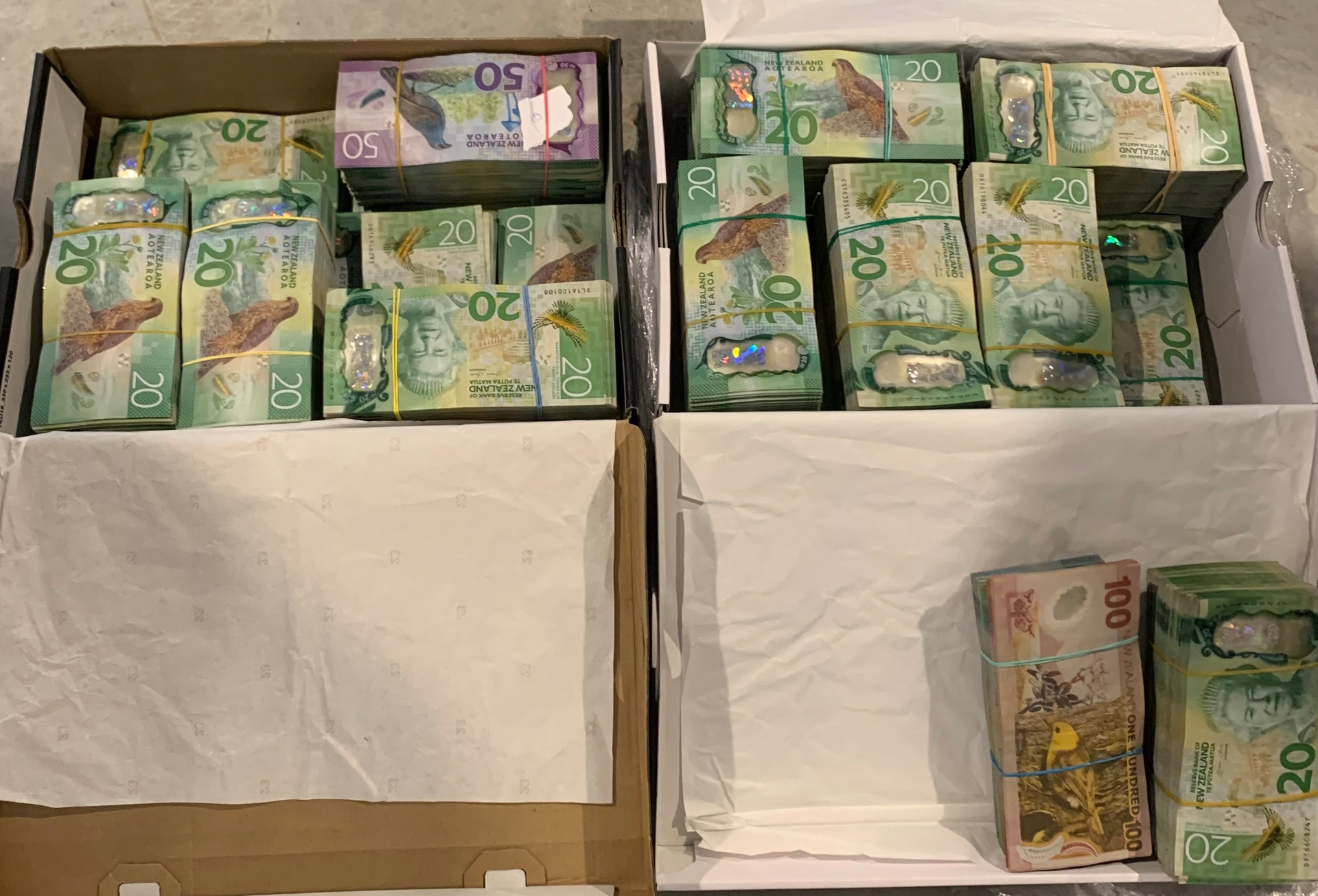 More than $500,000 cash was discovered when Operation Selena arrested 24 people for smuggling drugs through Auckland International Airport, including gang members and Air NZ baggage handlers.