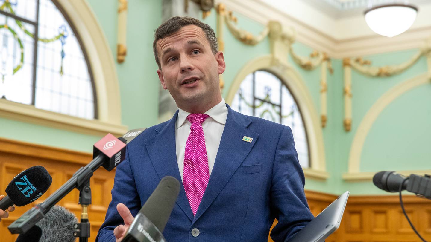 ACT Party leader David Seymour insists a Guy Fawkes comment involving the Ministry of Pacific Peoples he made was a joke. Photo / Mark Mitchell