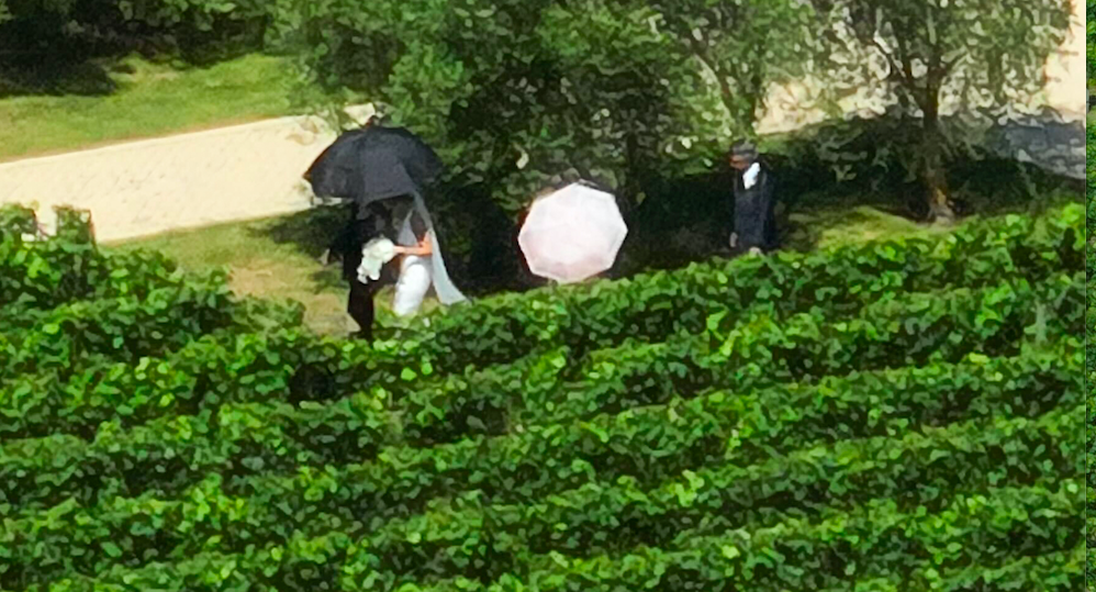 Jacinda Ardern and Clarke Gayford have tied the knot. Photo / George Heard