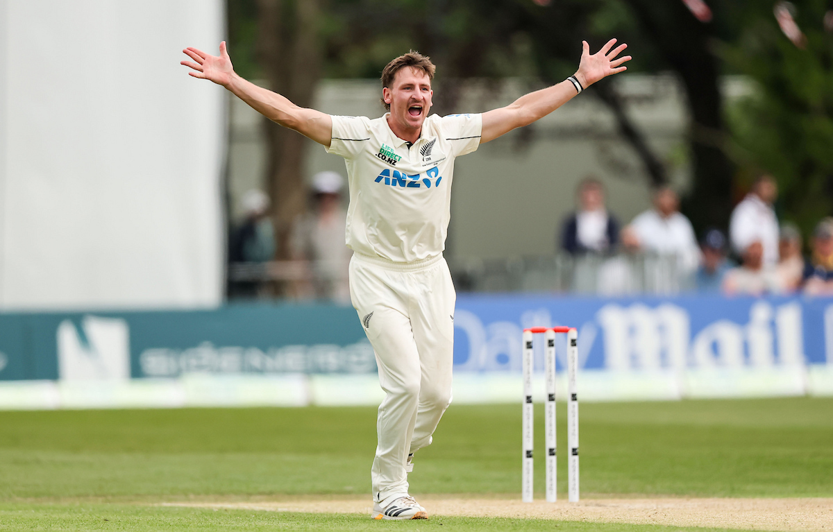 Nathan Smith appeals against Ireland. Photo / Photosport