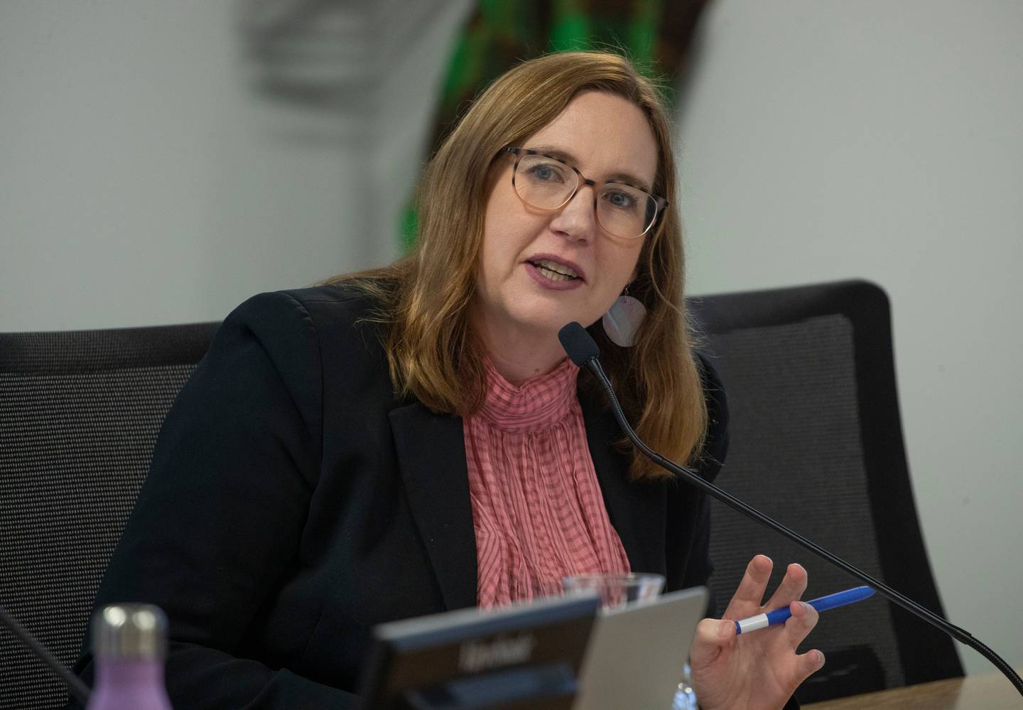 Public Service Association assistant secretary Fleur Fitzsimons. Photo / Mark Mitchell 