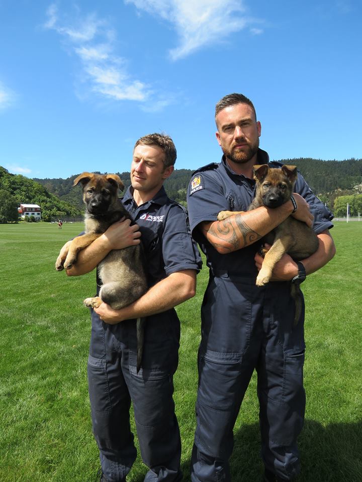 Meet the Cutest (and Cuddliest) Police Officer in New Zealand